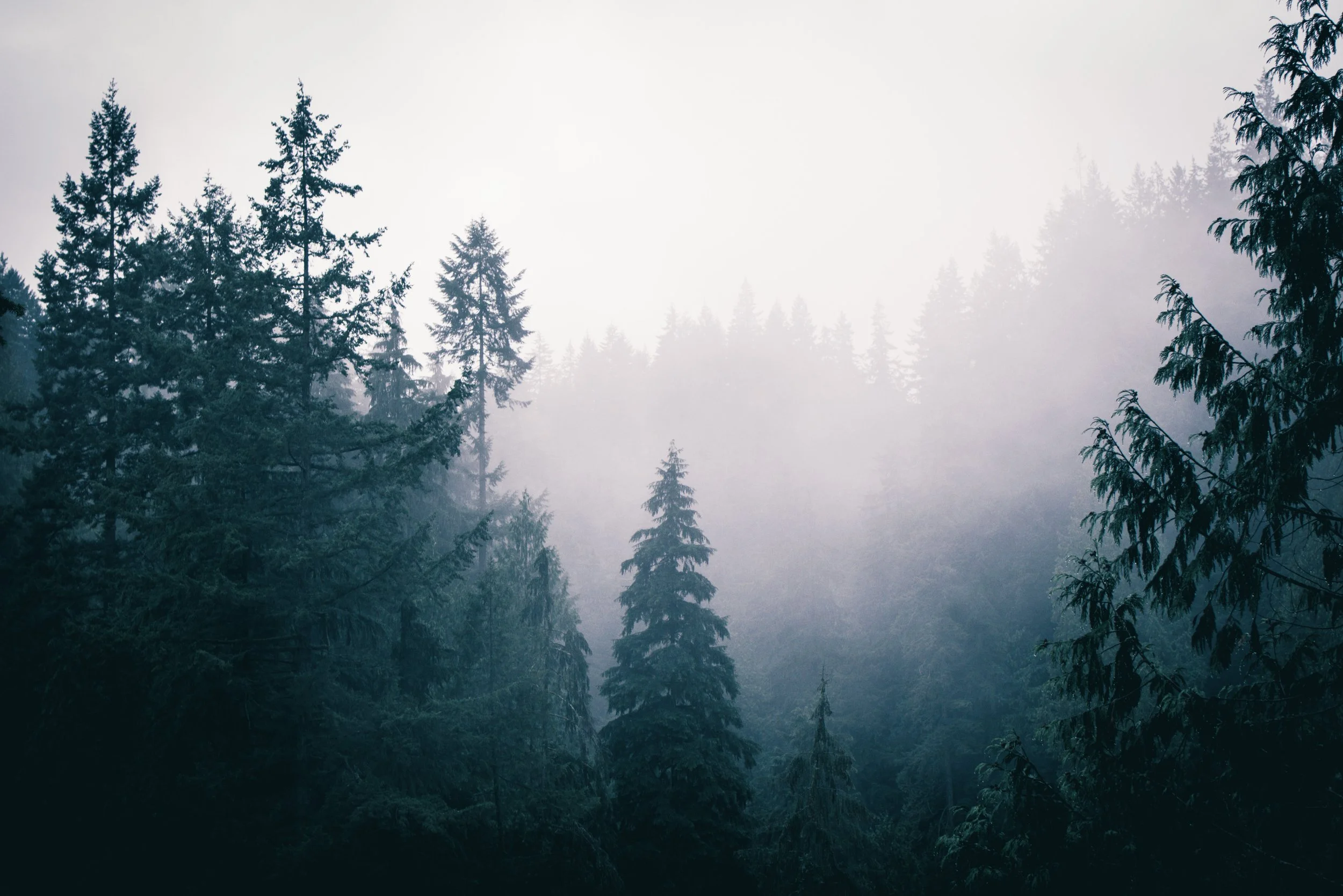 Landscape Northwest Canada British Columbia Fog Alpine.jpg