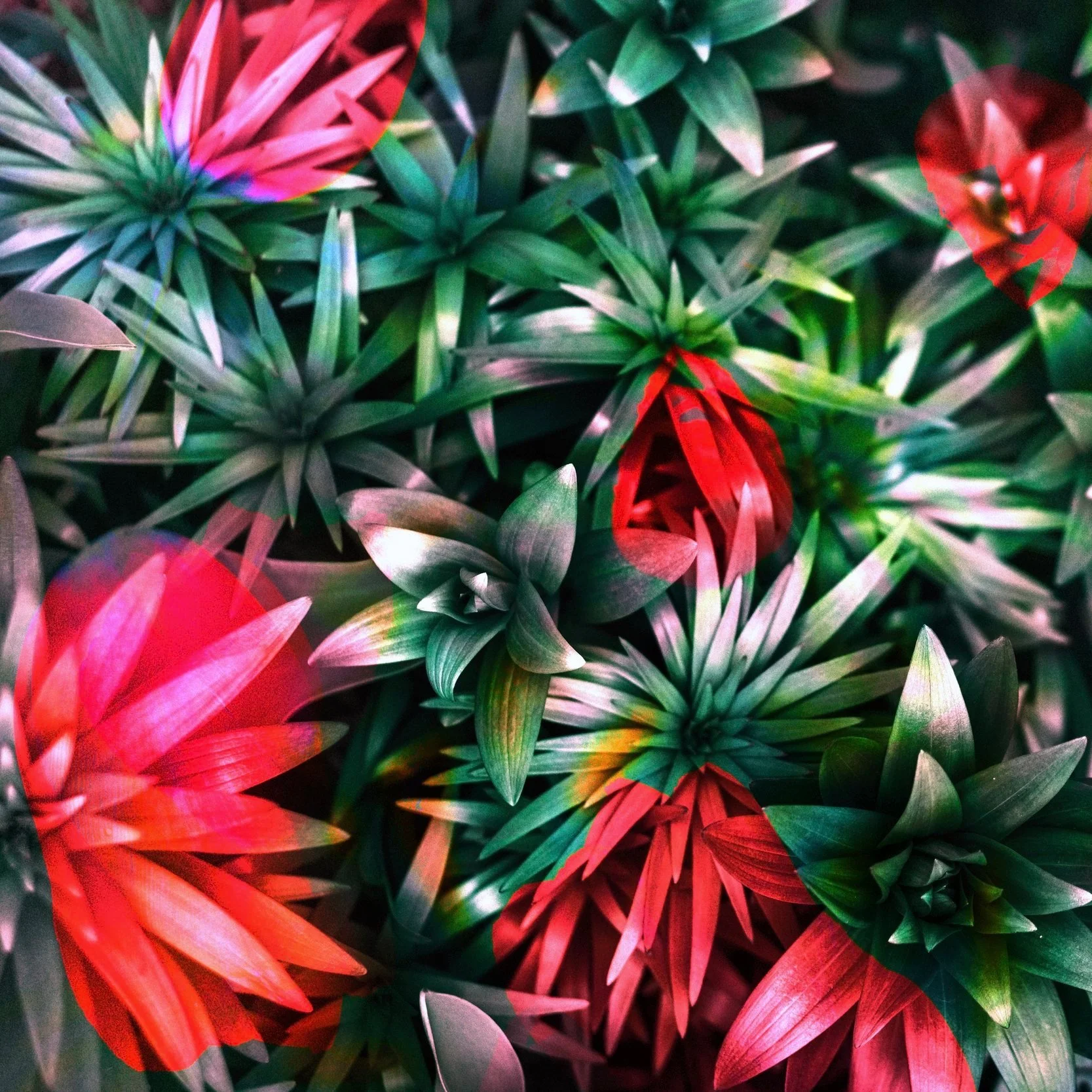 Spring Composite.jpg