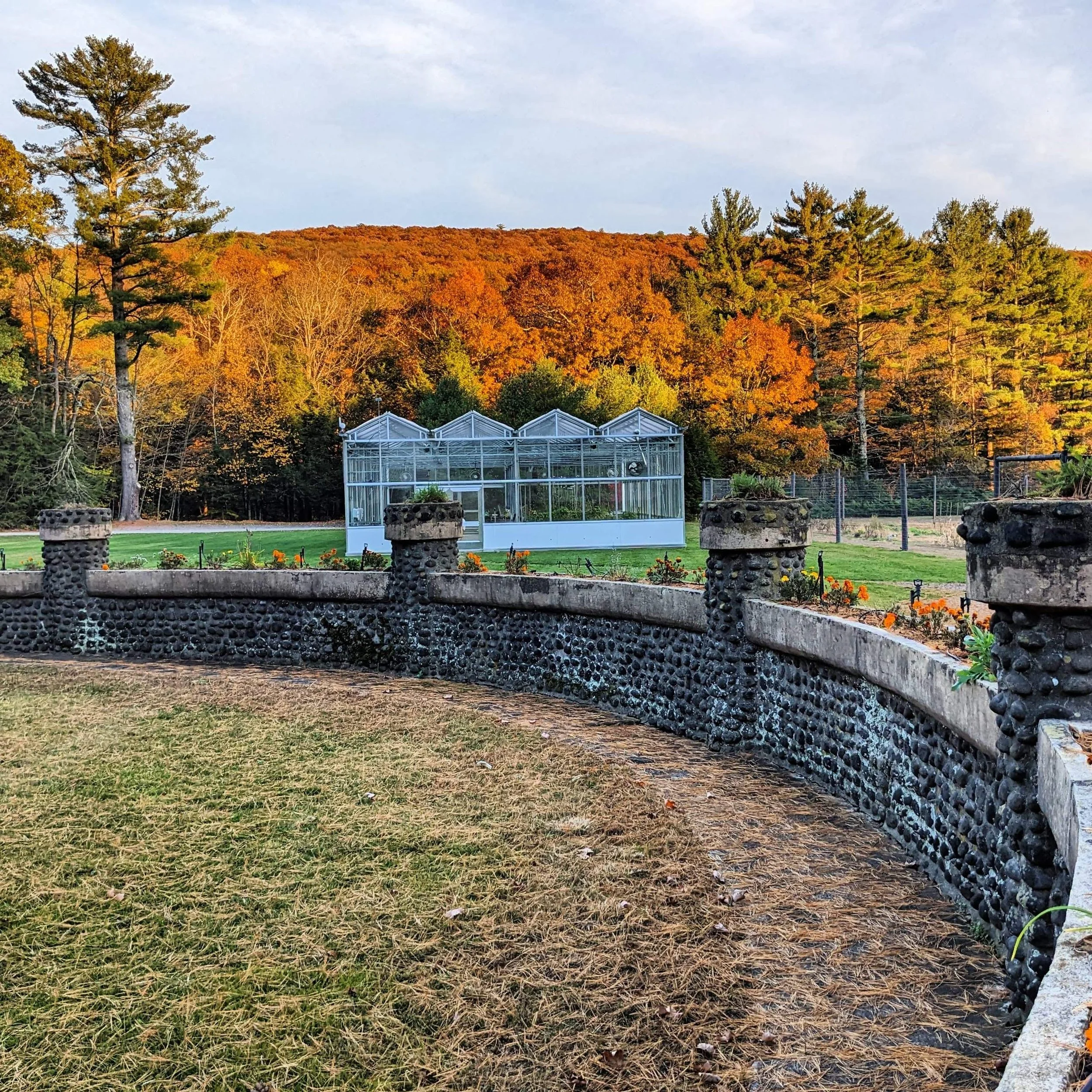 Greenhouse+with+Fall+Foliage.jpg