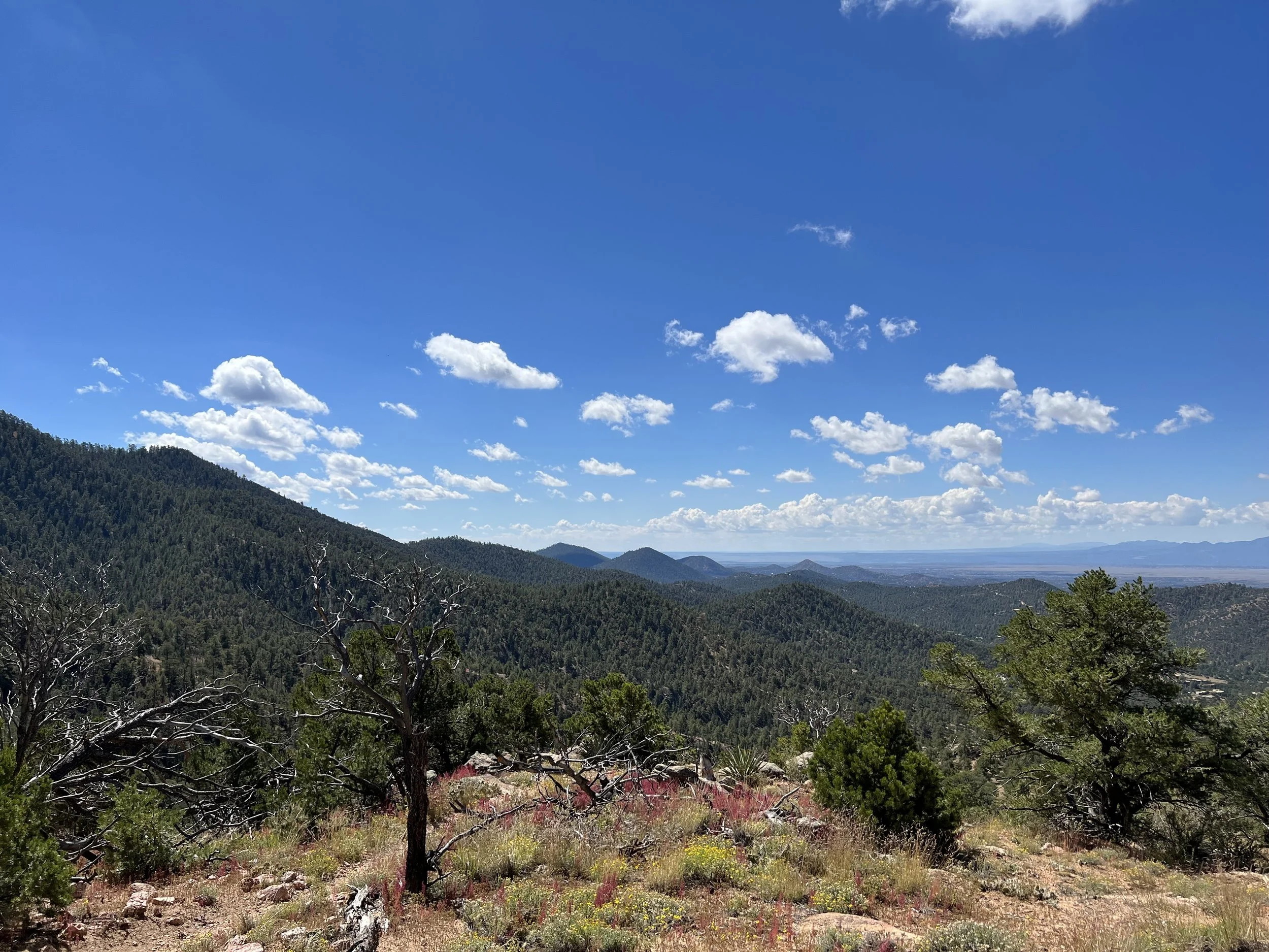 Poetry and Creative Expression