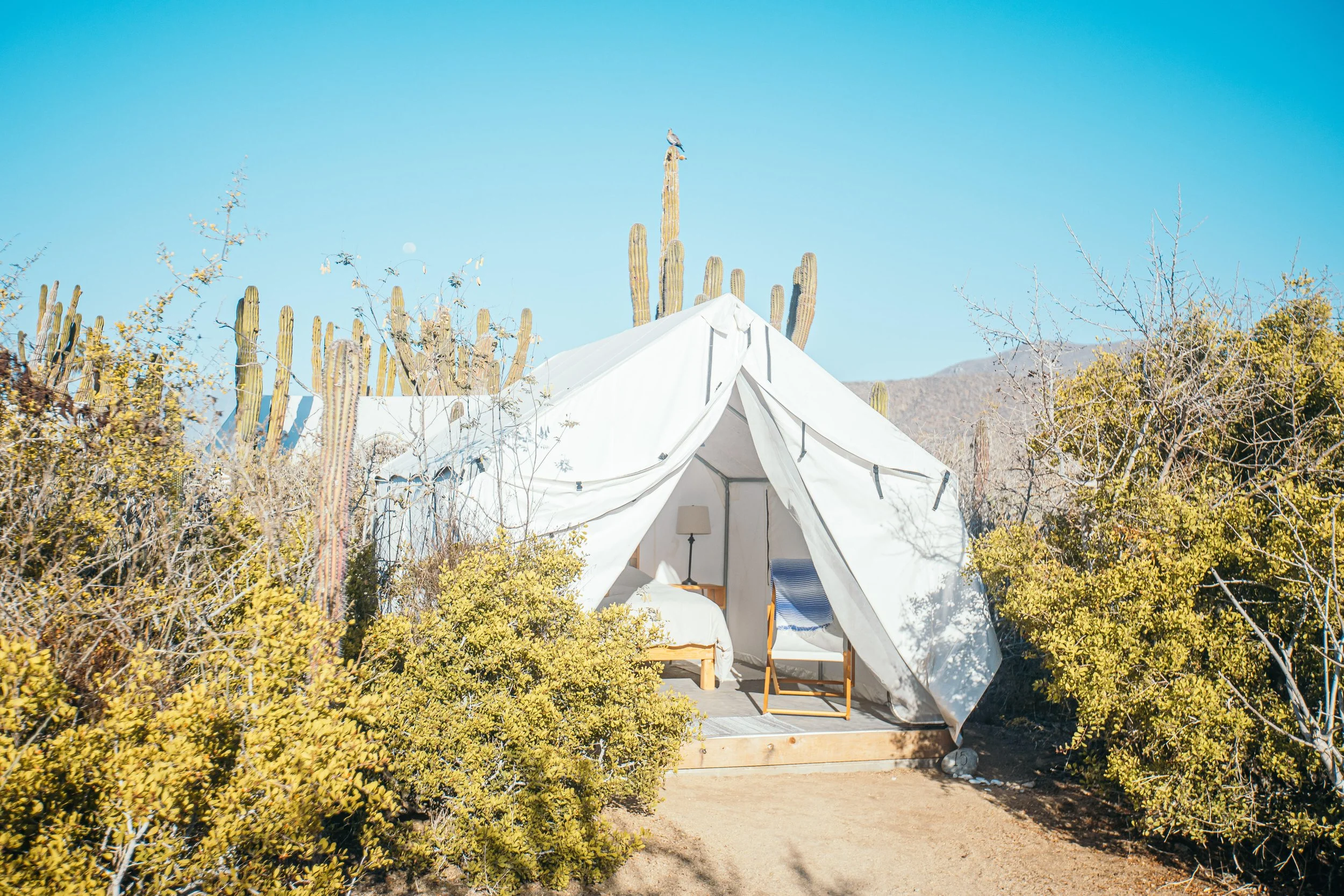 Glamping Tent 2.jpg