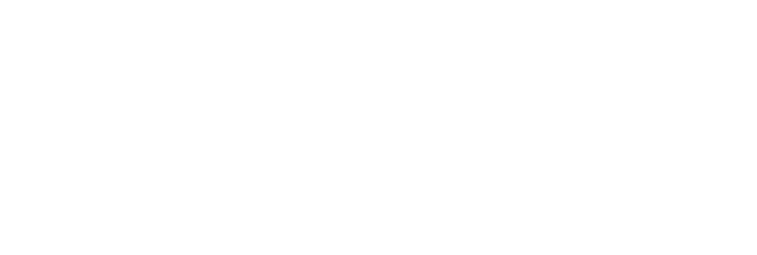 The word 'BOLT' in bold white letters next to an asterisk symbol, all on a black background.