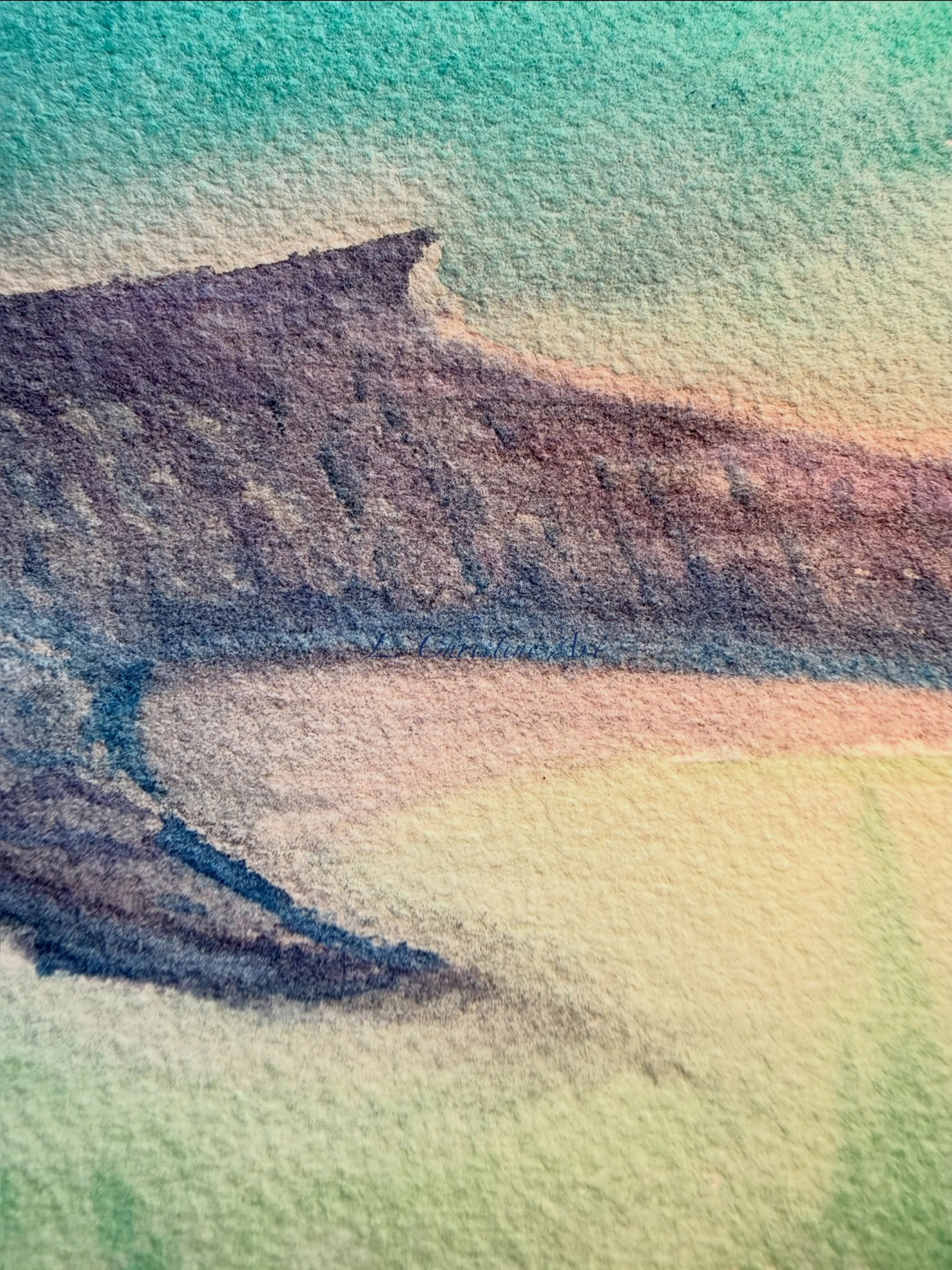A sharky watercolor work in progress, bc it&rsquo;s Shark Week! Woot! Woot! 🦈❤️🌊

What&rsquo;s your favorite shark?

There&rsquo;s so many it&rsquo;s hard to choose. I&rsquo;ve learned a lot about great whites bc jaws. But I like whale sharks patte