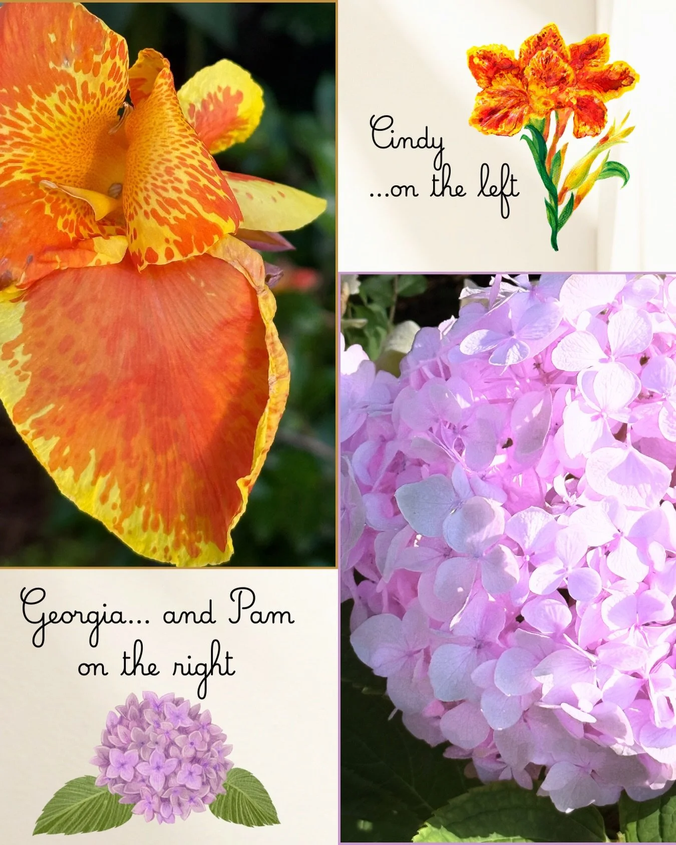 These are flowers planted in my garden - gifts from my dear friends. Cindy gave me the cannas last year. She and her husband Neil, who passed over to the Great Beyond, had the originals planted in their yard. Cindy shared with me, and they are magnif