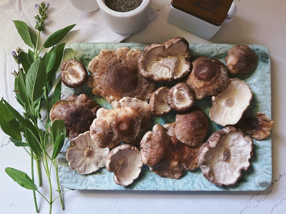 blue-courage-farms-mushrooms-beef-eggs-pantry-veggies
