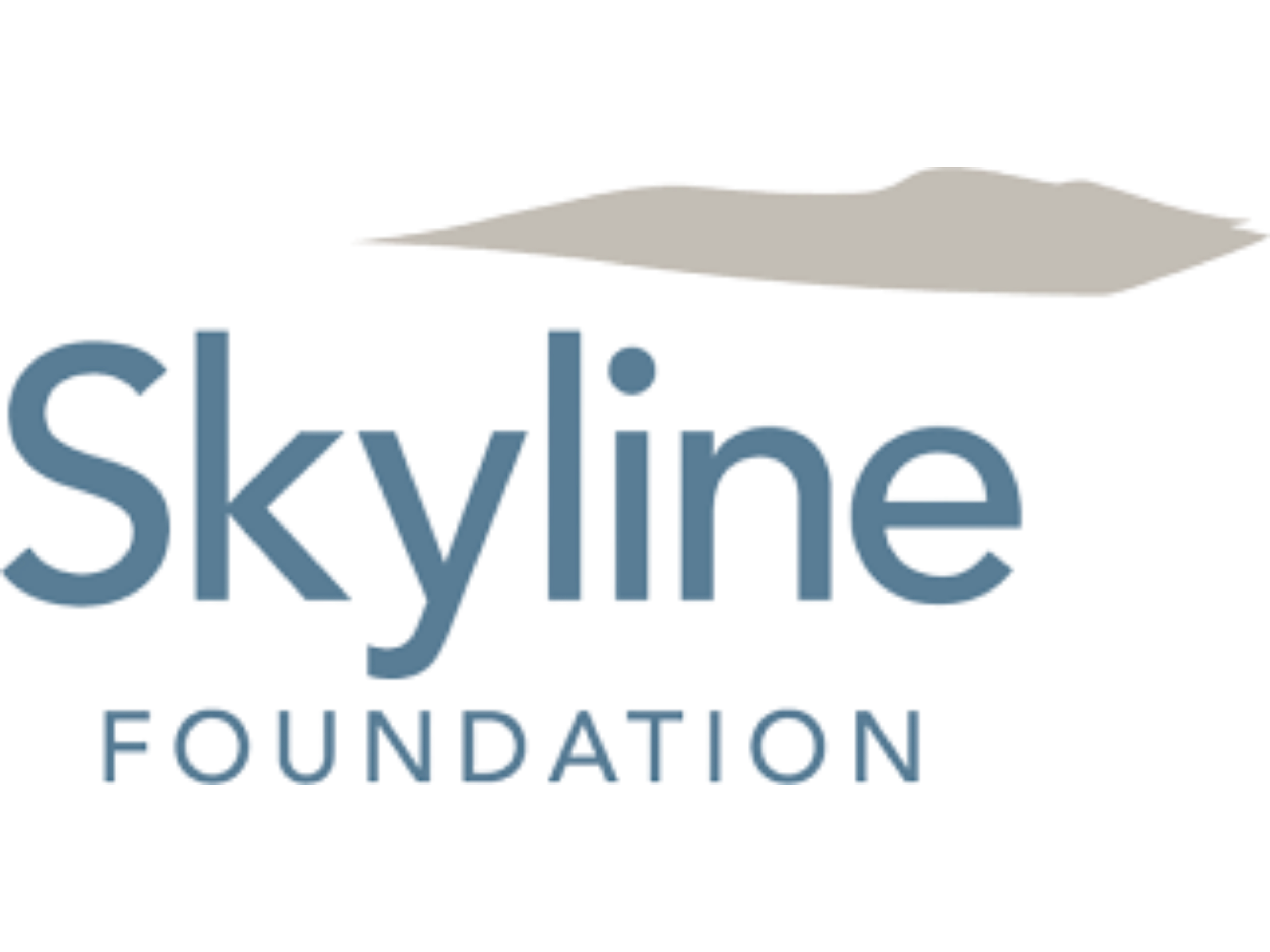 Skyline Foundation logo in blue text with grey oblong cloud shape above text