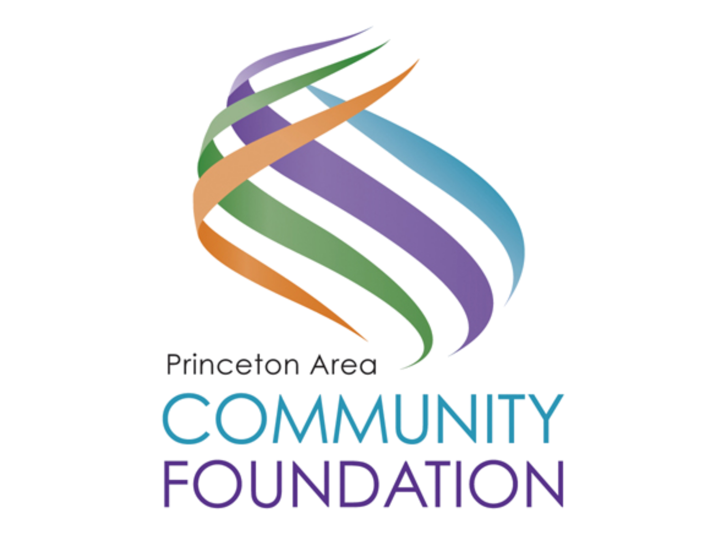 Logo of Princeton Area Community Foundation with a multicolored swirl graphic above indigo and teal text
