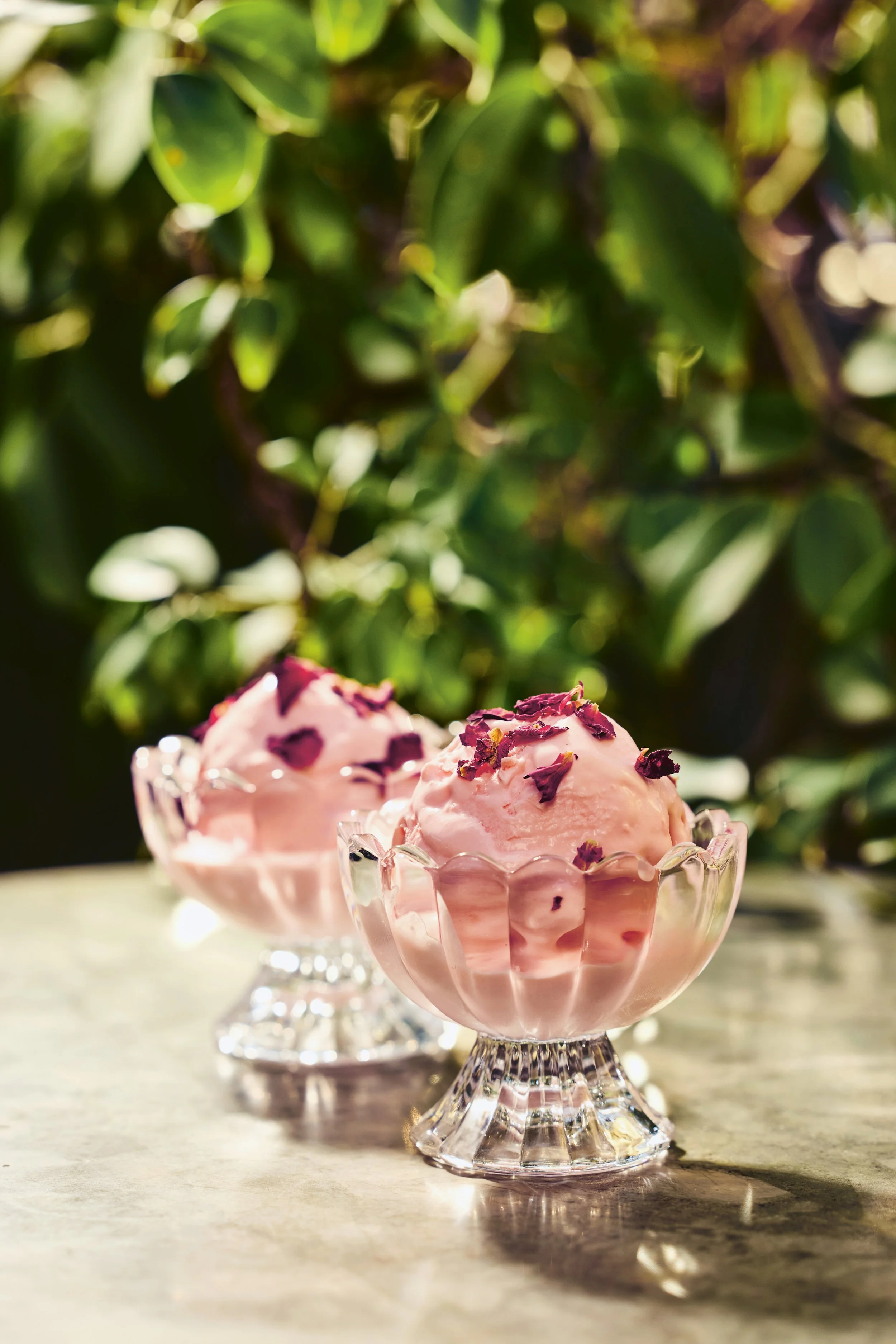 VIJS_2025_3339_RoseWatericeCream.jpg