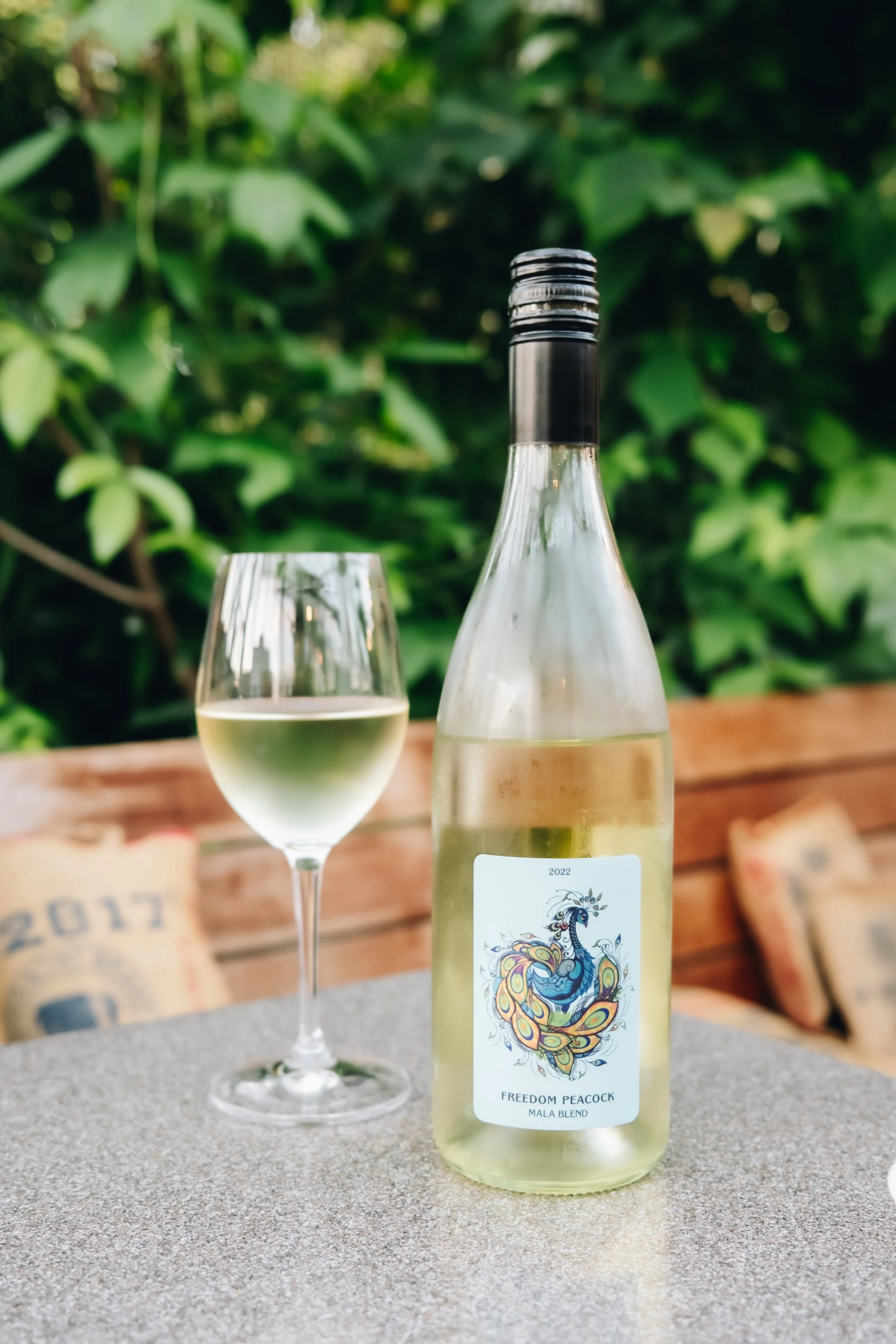 A bottle of white wine and a filled wine glass on a outdoor table with a green leafy background.