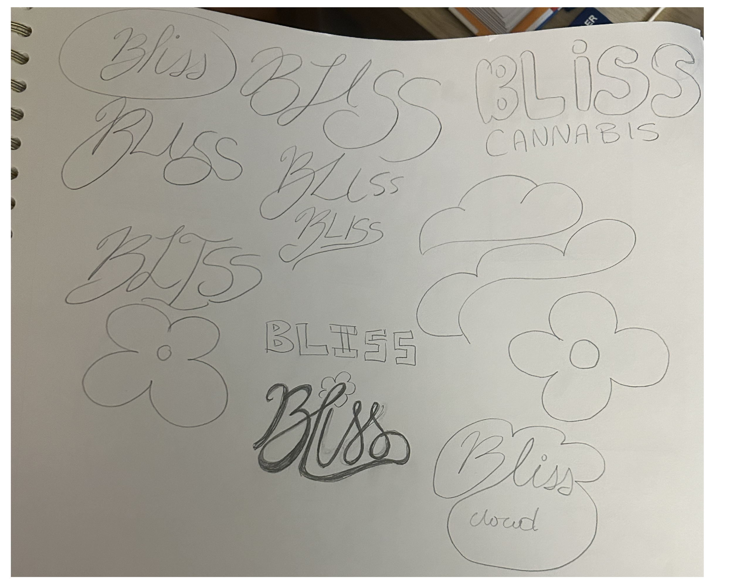 Process3Bliss.png