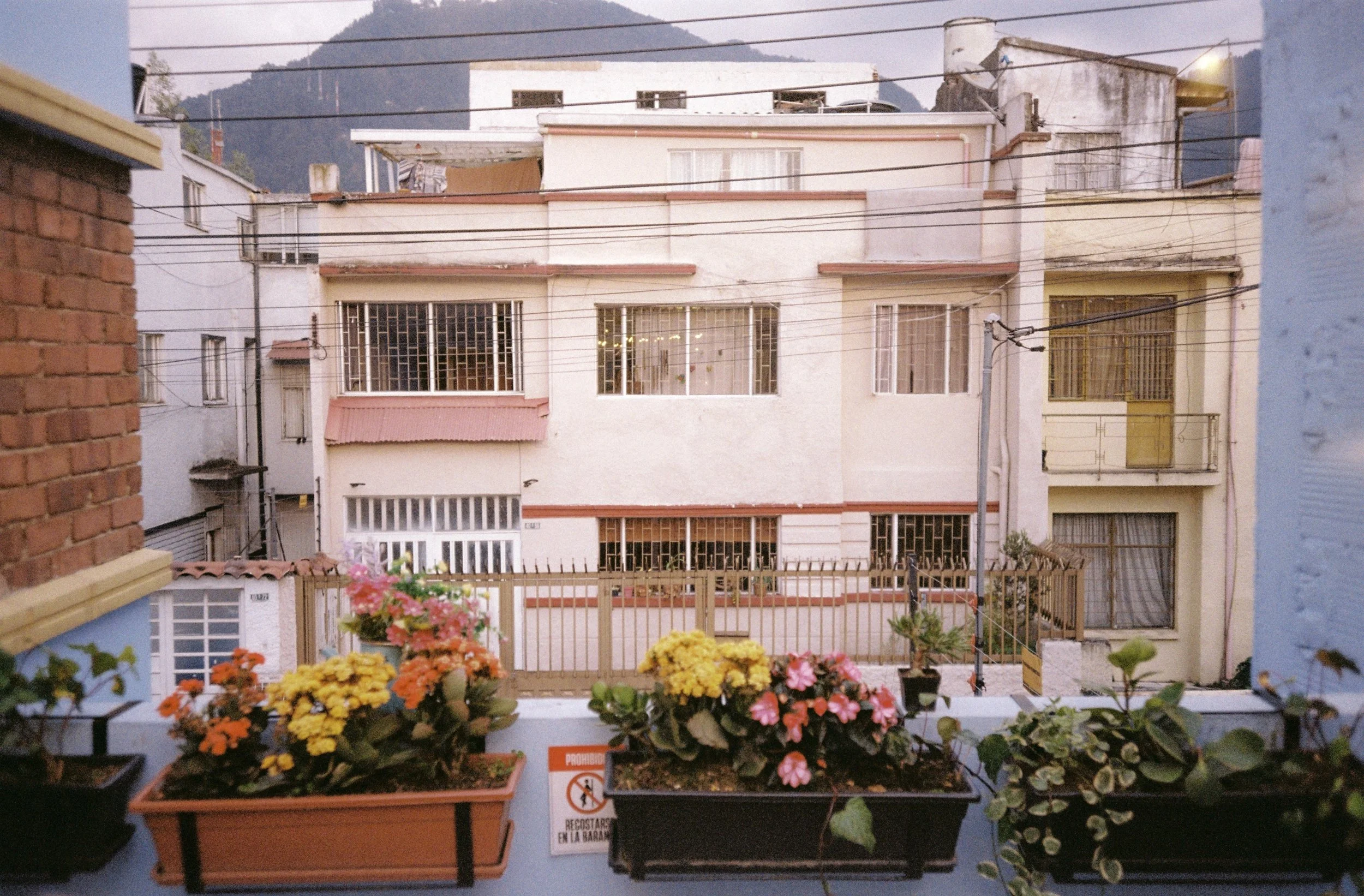 R1-09976-0008-2-15 (1).jpg