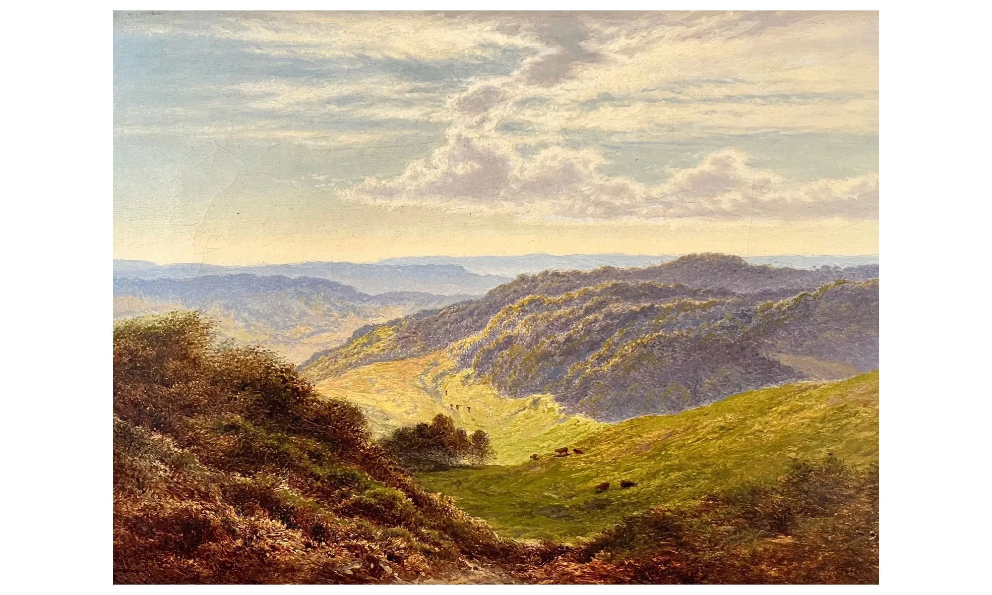SUMMER'S BRIGHT DAY NEAR WOLDINGHAM, SURREY