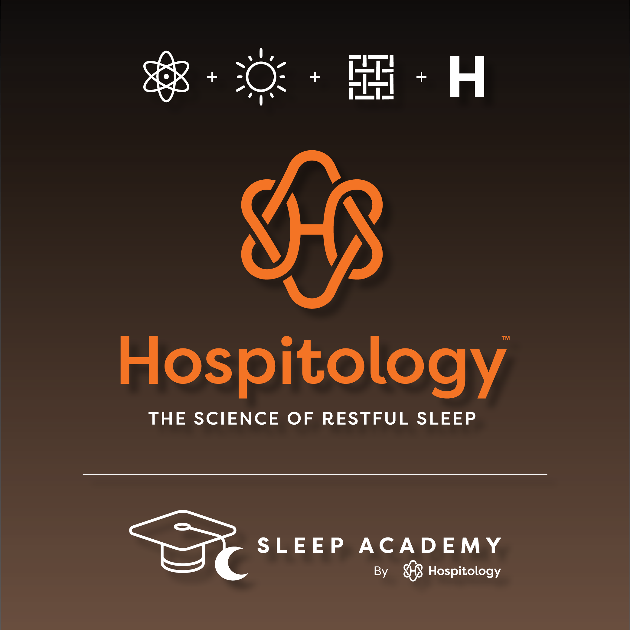 Projects - Hospitology for website.png