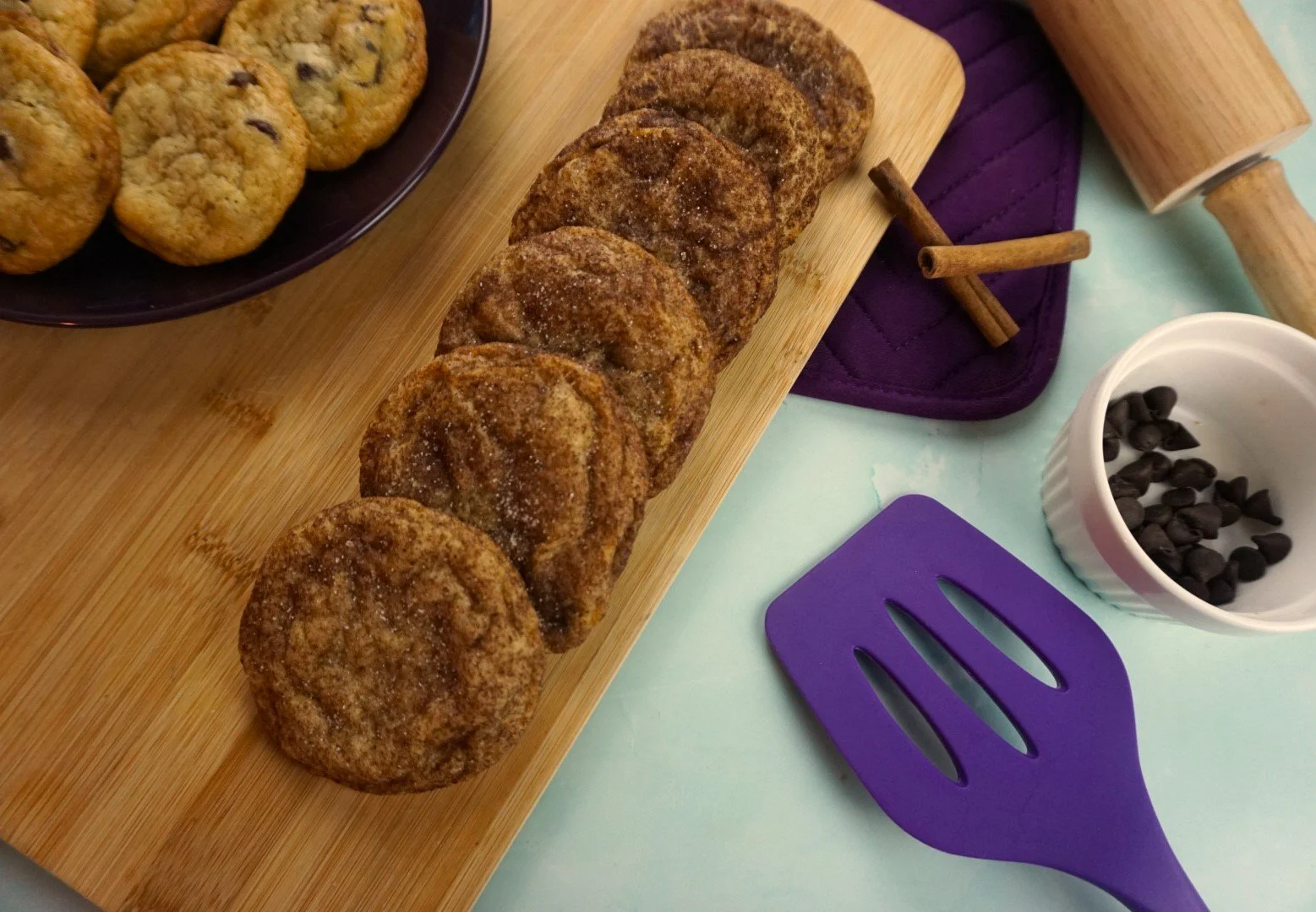 Soft Spiced Snickerdoodle