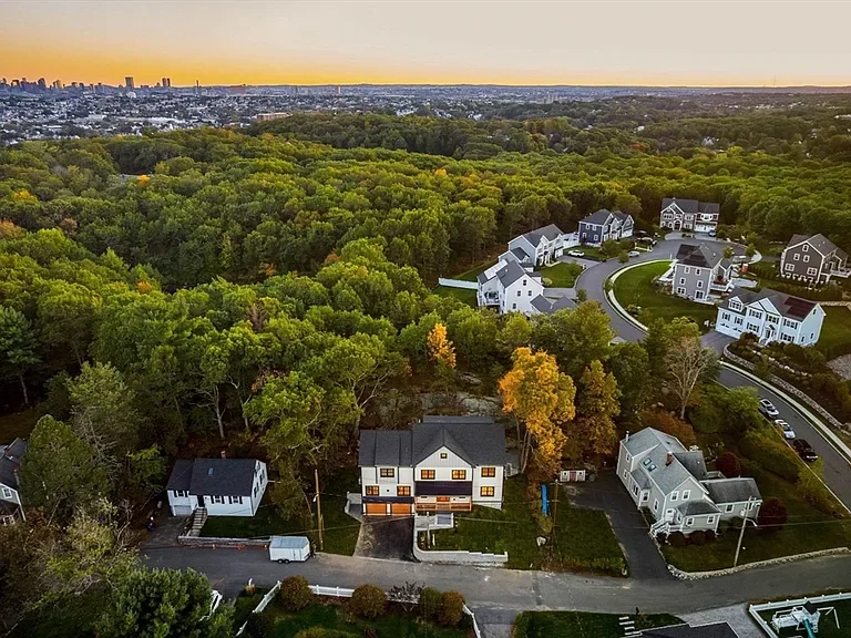 Dexter - Boston Skyline.webp