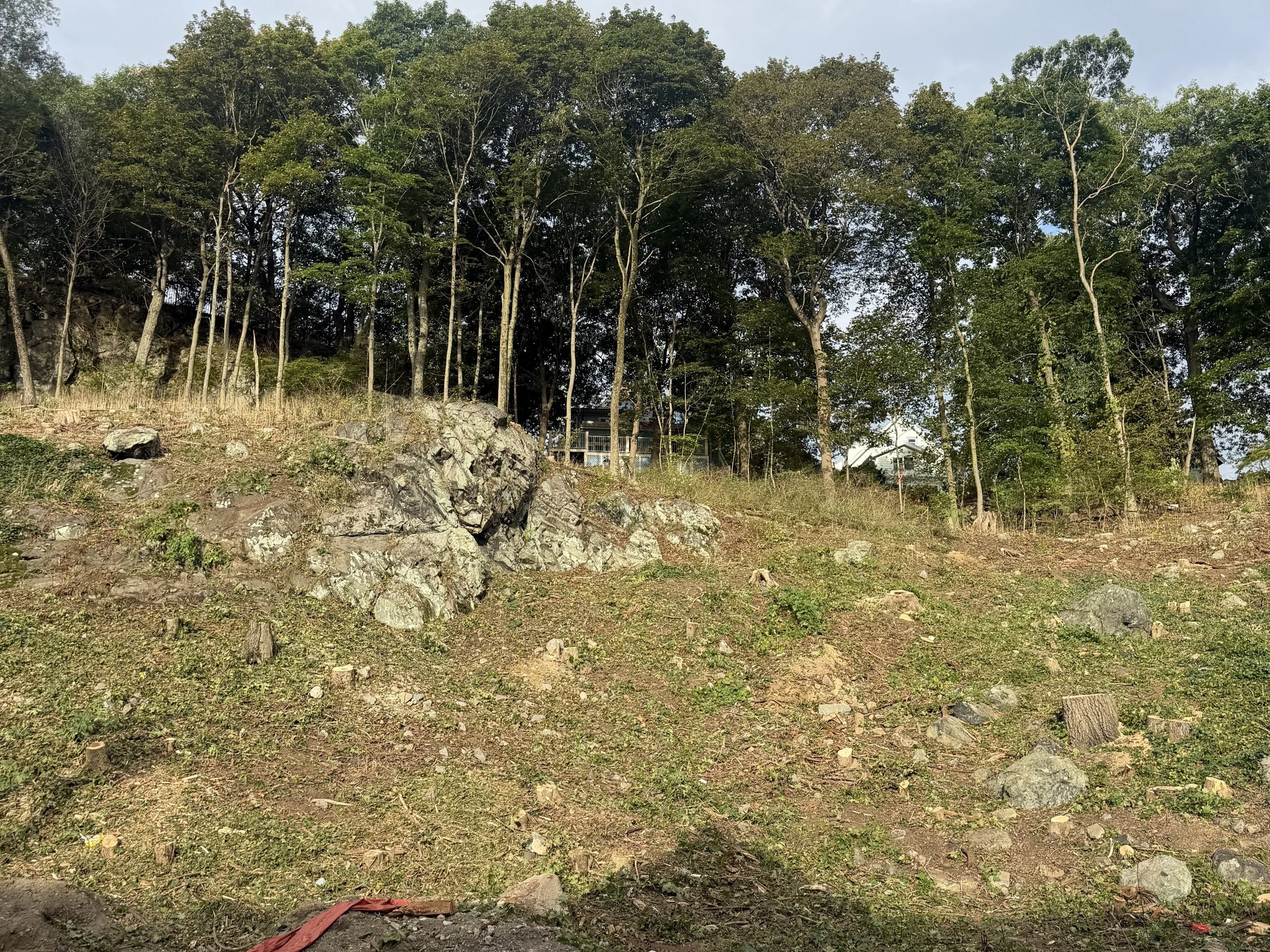 Exposed rock ledge terrain after tree clearing at Greenwood St residential development site in Melrose MA.