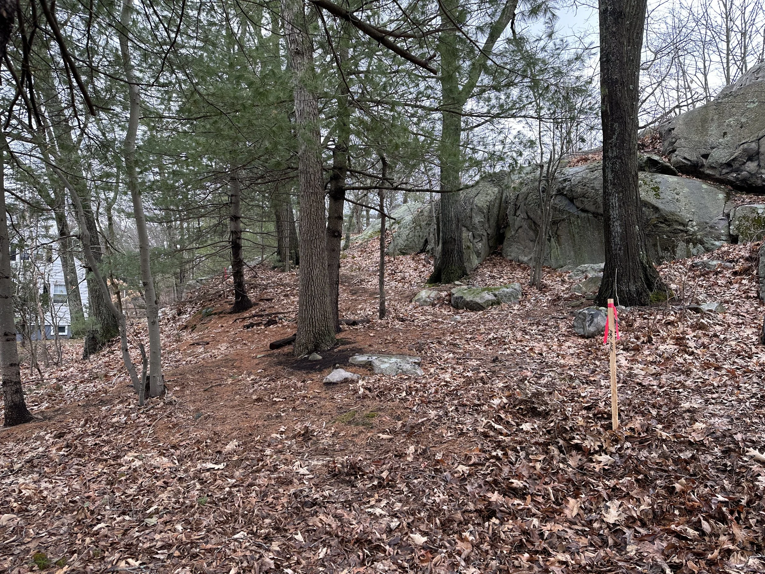 A sloped, wooded area with rock outcroppings and engineering stake visible