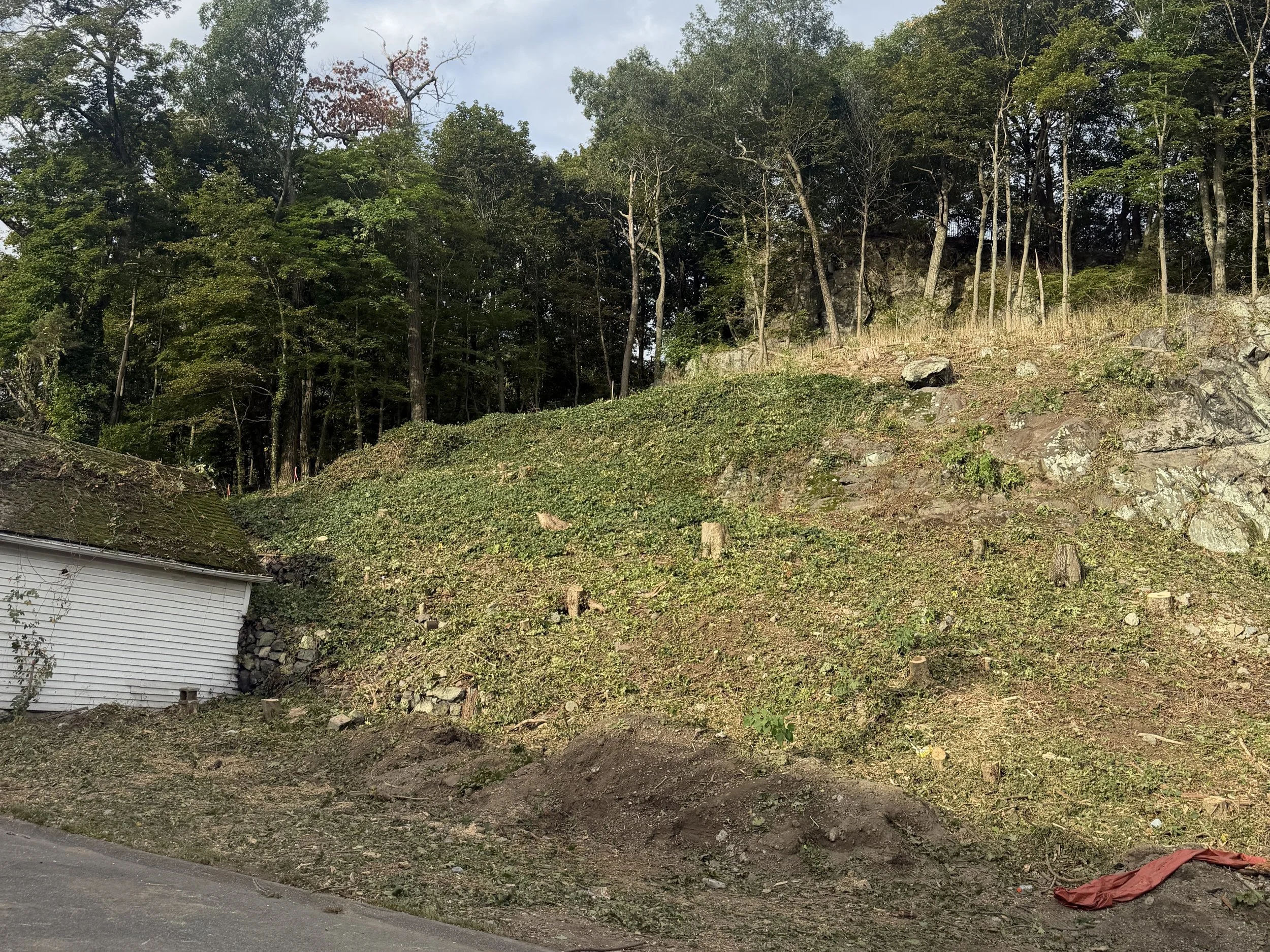Cleared slope and tree stump removal at Greenwood St construction site near Melrose Highlands MBTA station.