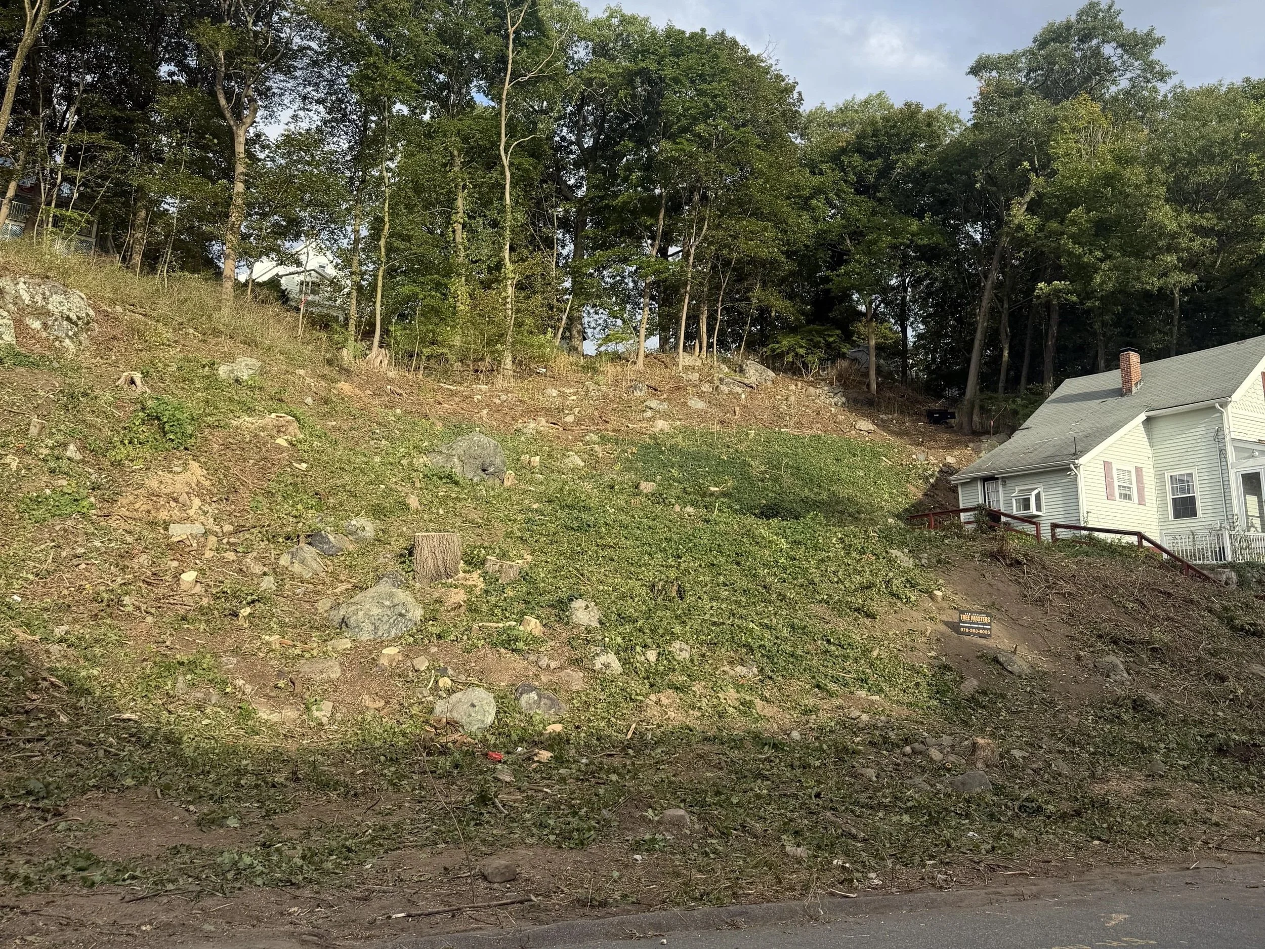 Site prep and tree clearing along Greenwood St in Melrose MA by Szecon Development.