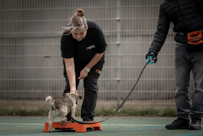 Dutch Cell Dogs Bobbie Bhambree