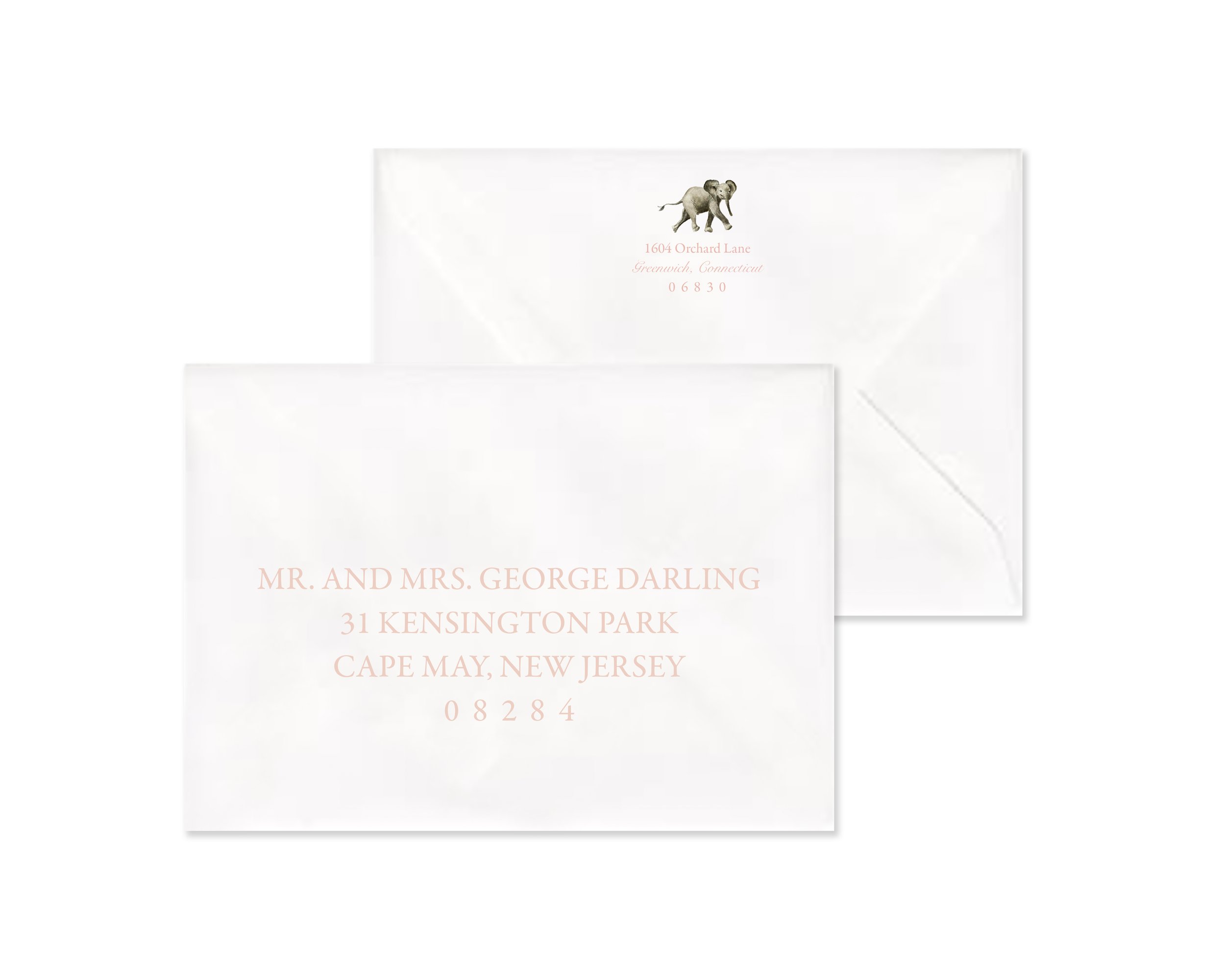 Elephants - Classic Pink Serif Horizontal Display III.jpg