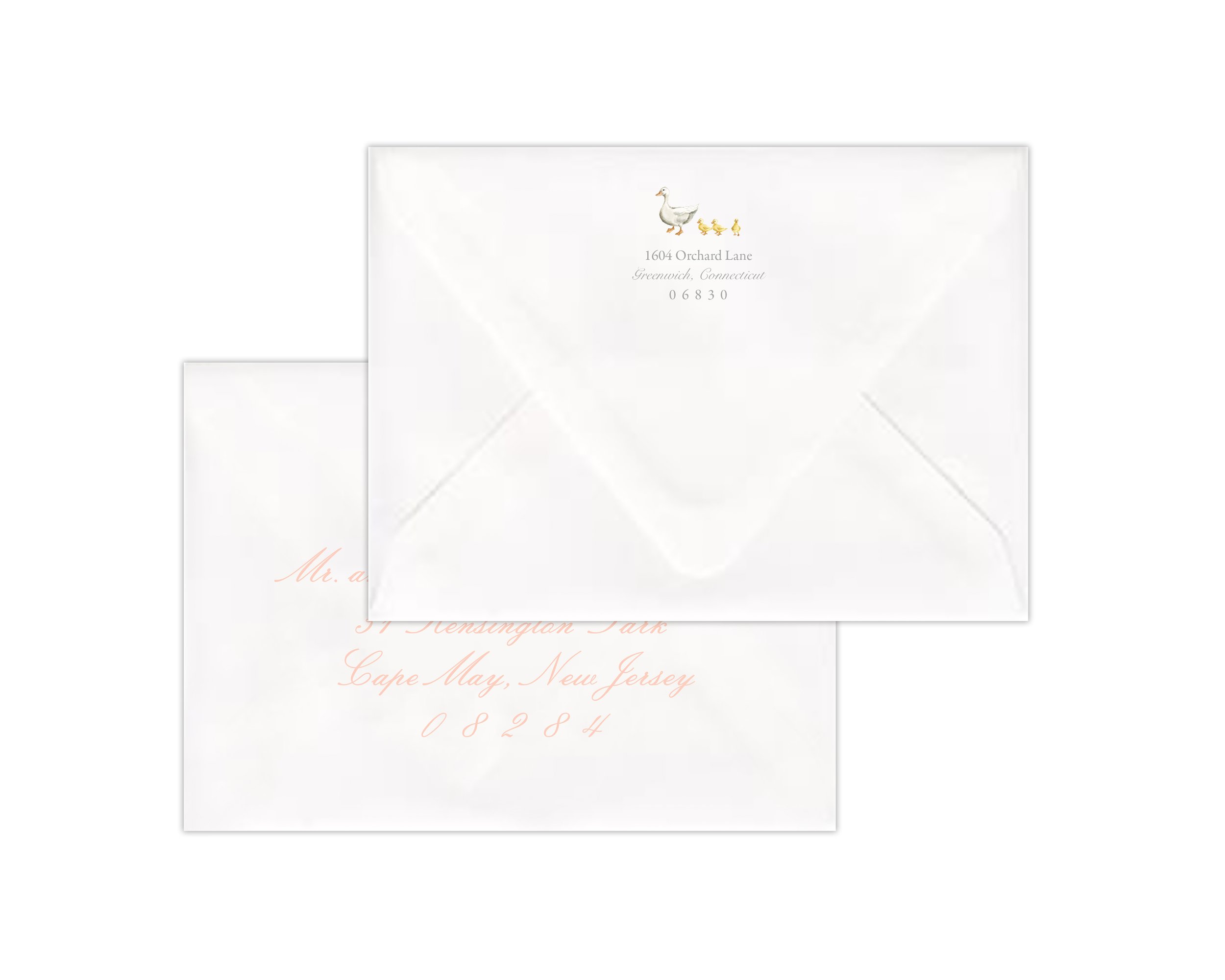 Ducklings - Envelope Front Girl Script Display II.jpg