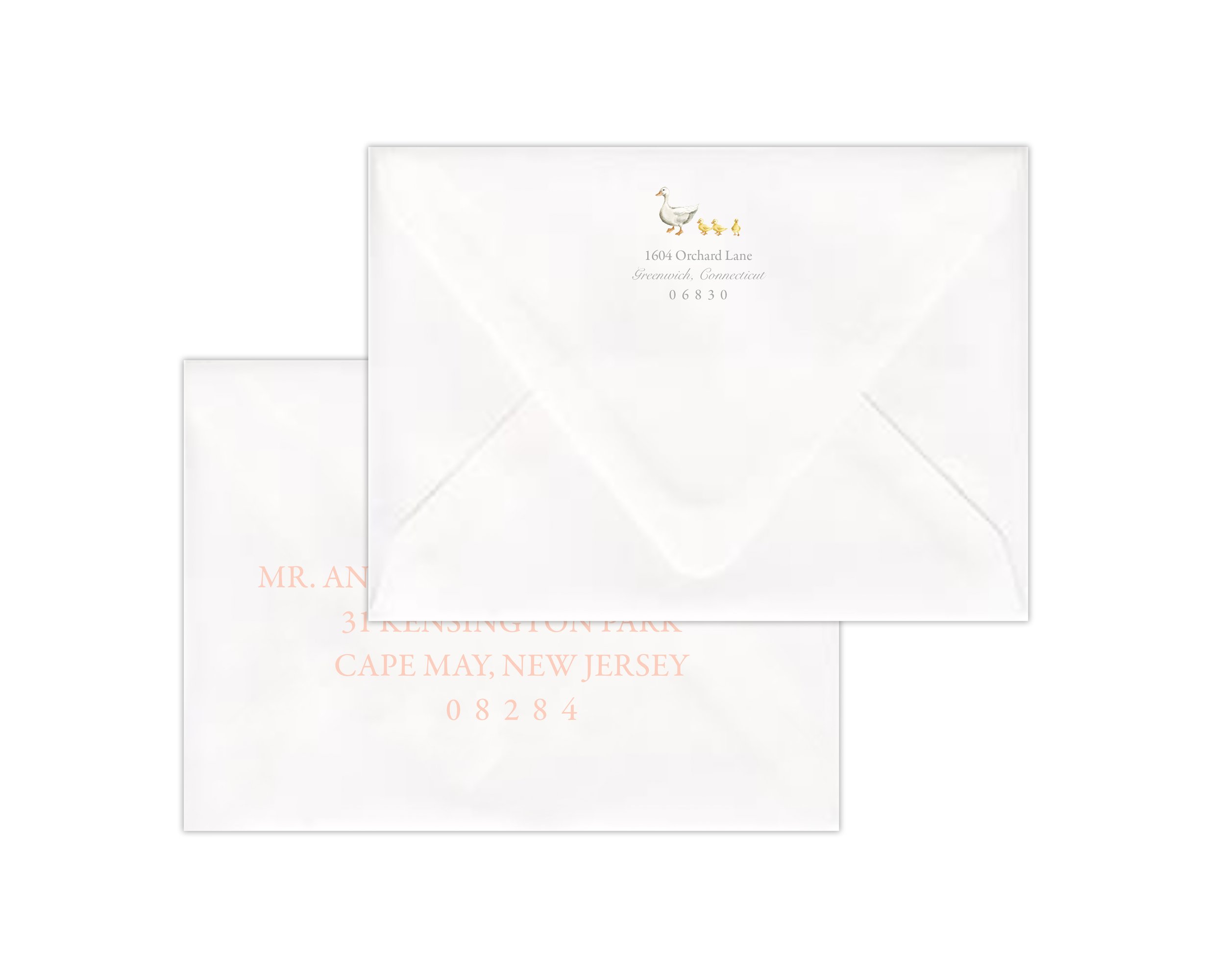 Ducklings - Envelope Front Girl Serif Display II.jpg