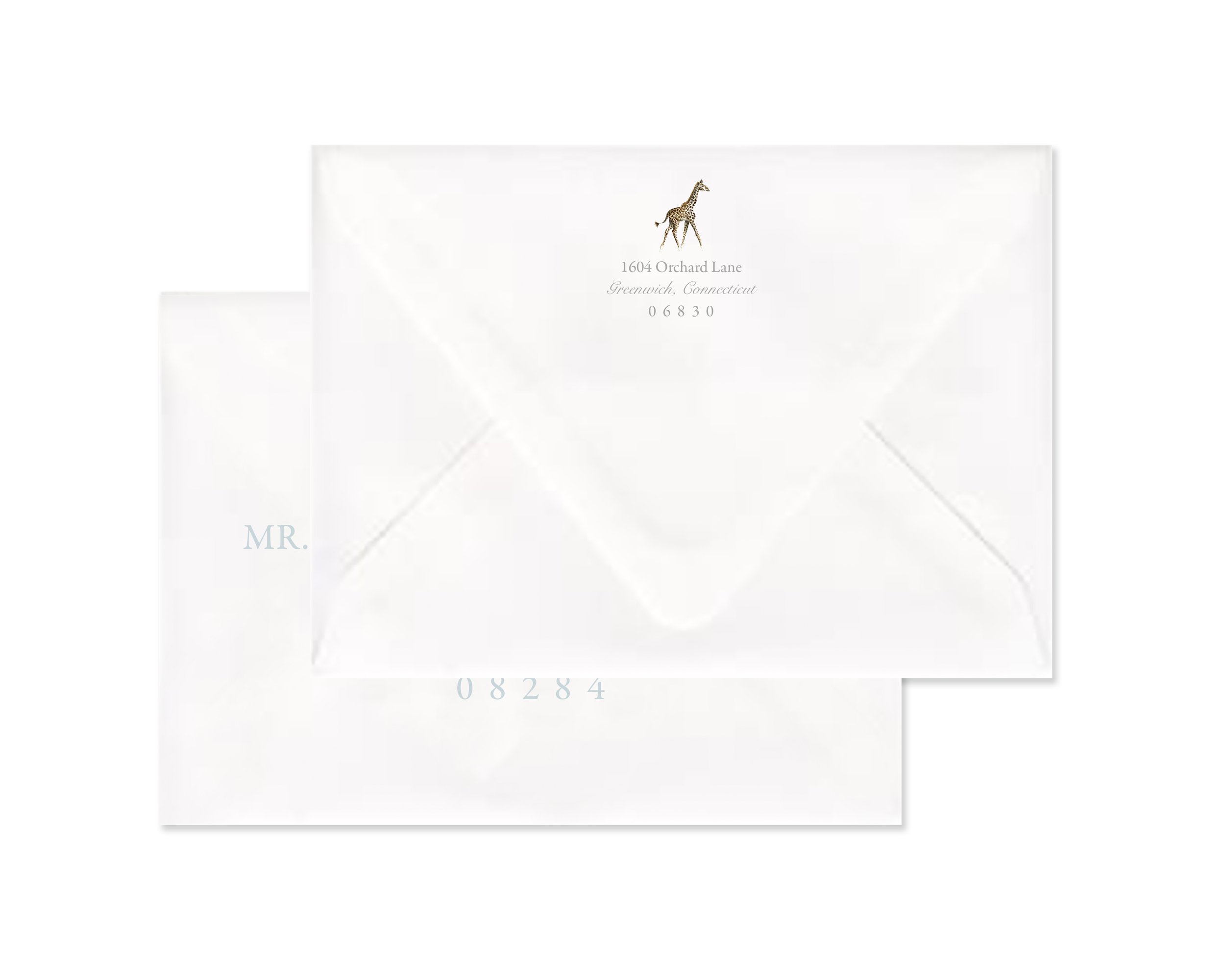 Giraffes - Boy Display IV.jpg