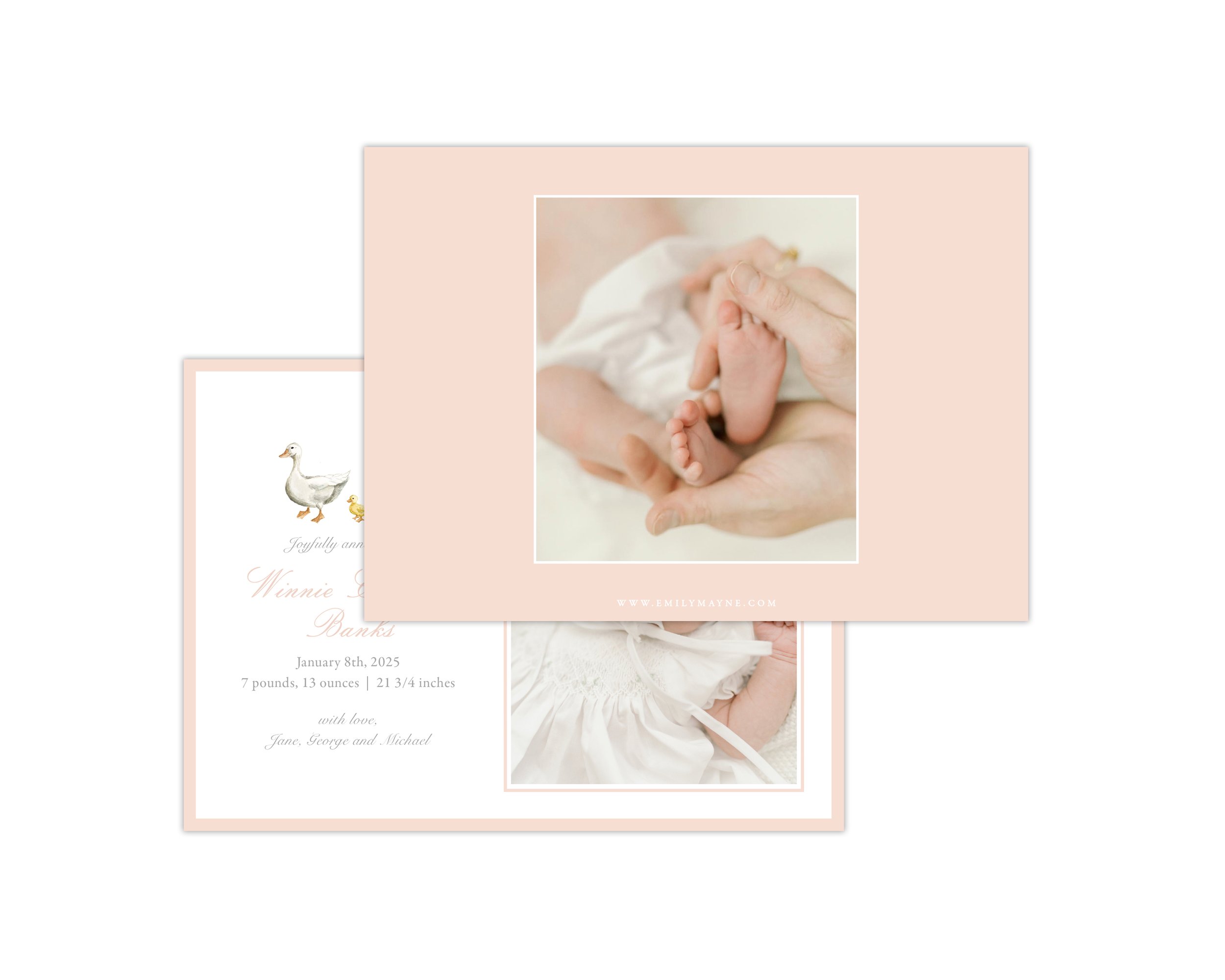 Ducklings - Girl Landscape Script Display II.jpg
