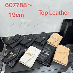 YDSL with Card Holder