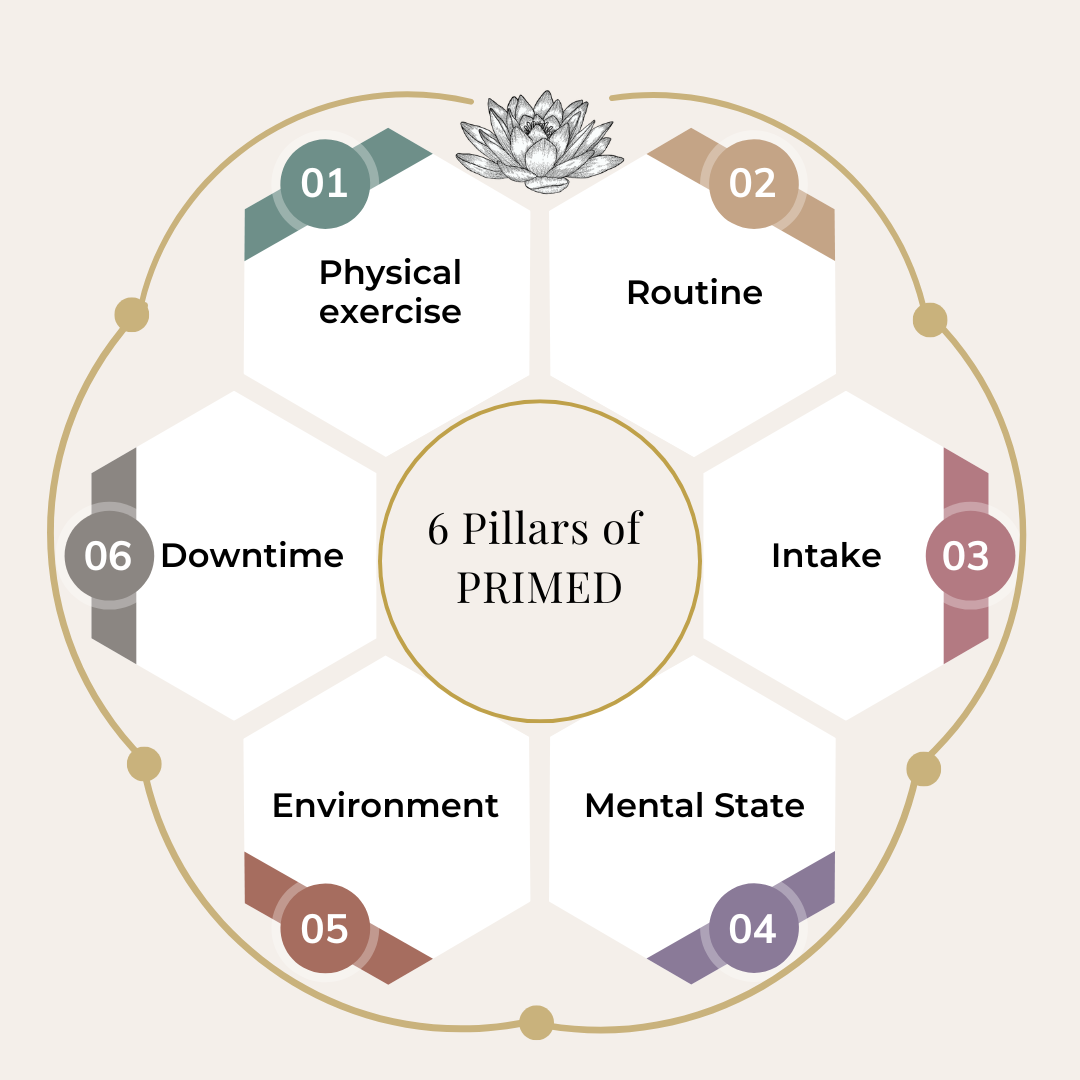 What is the PRIMED™ framework?