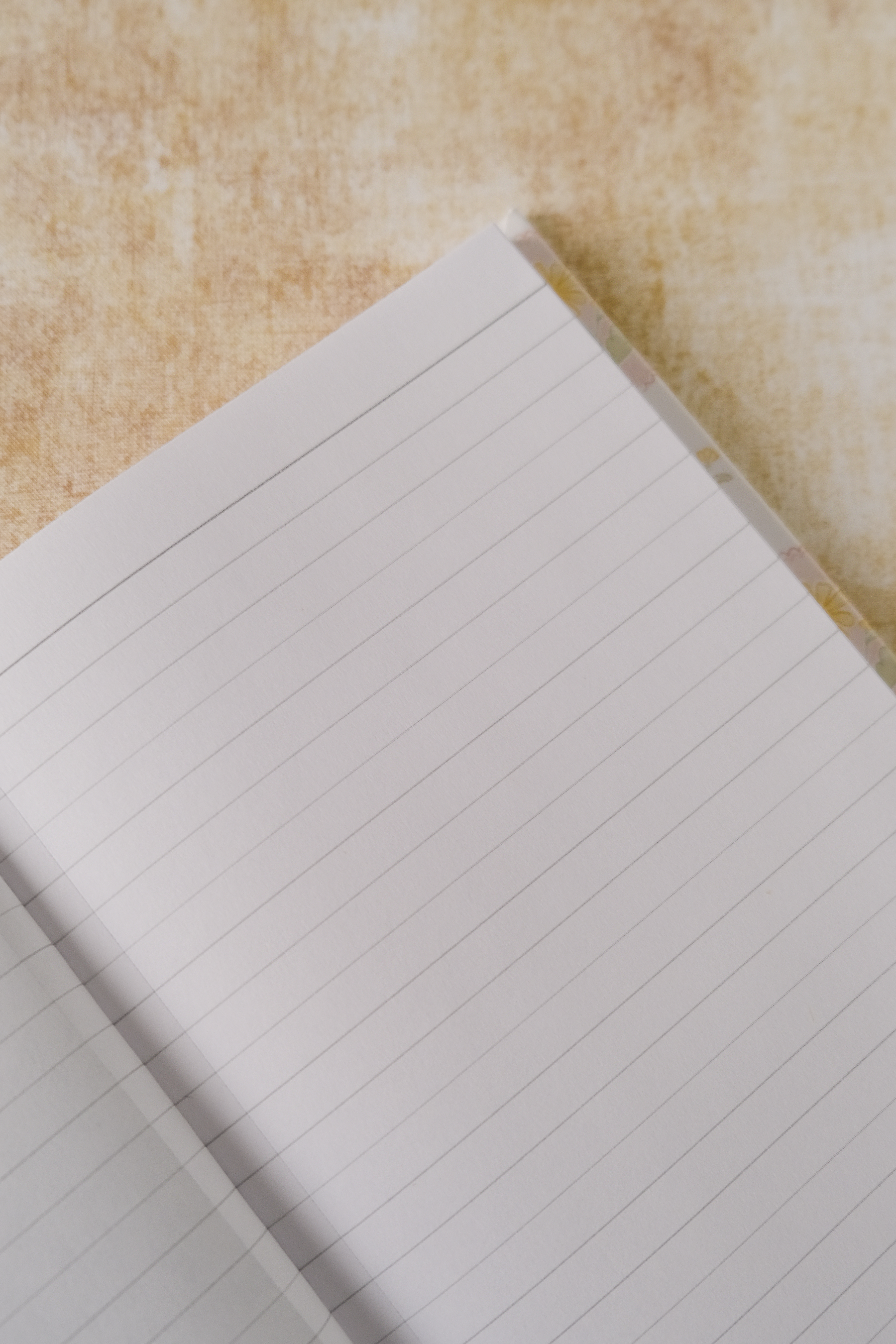 Daisy_Notebook_Open.png