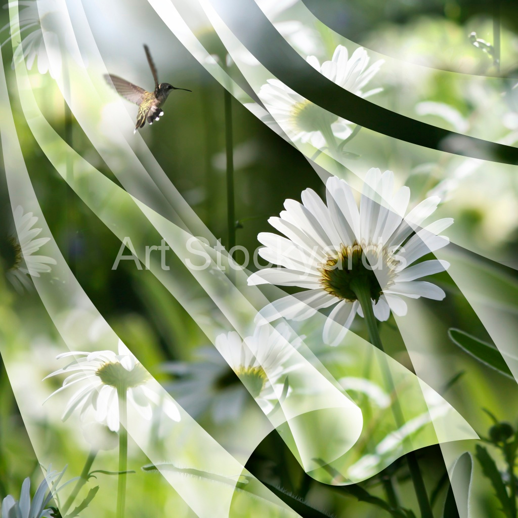image_original_36eeca53a0950a2c957a51bd7efd7842.png