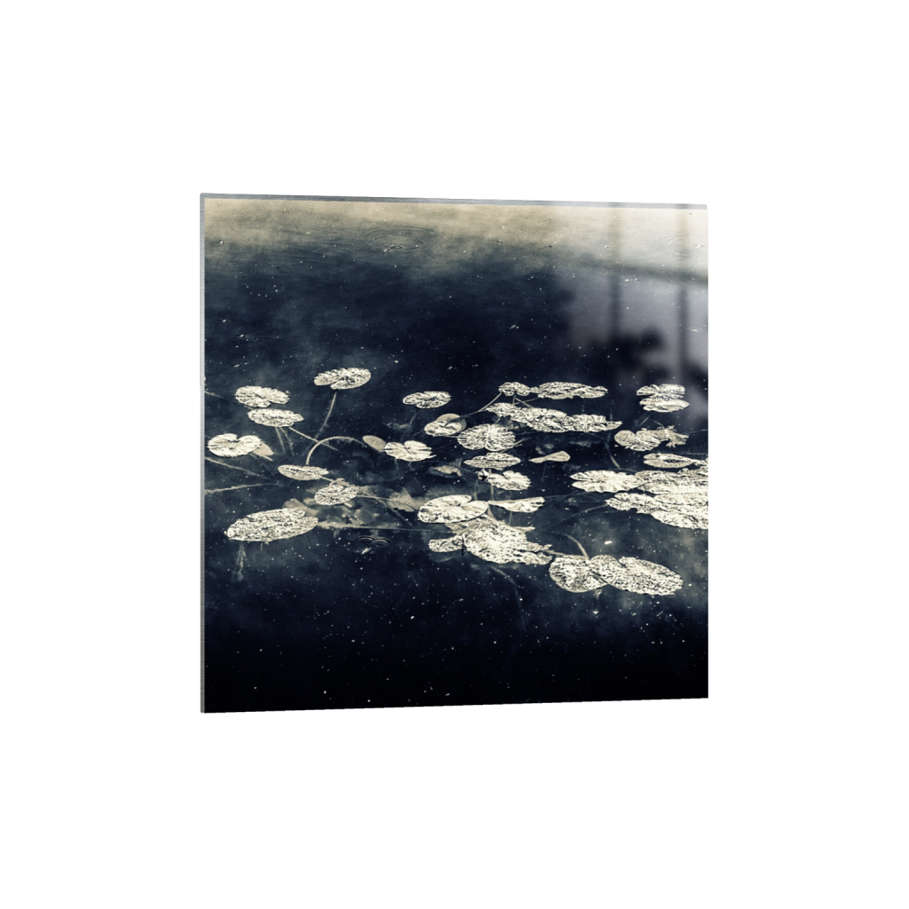ptq_13_0_0_0_2848_2848_0_false_ffffff_0_0_.png
