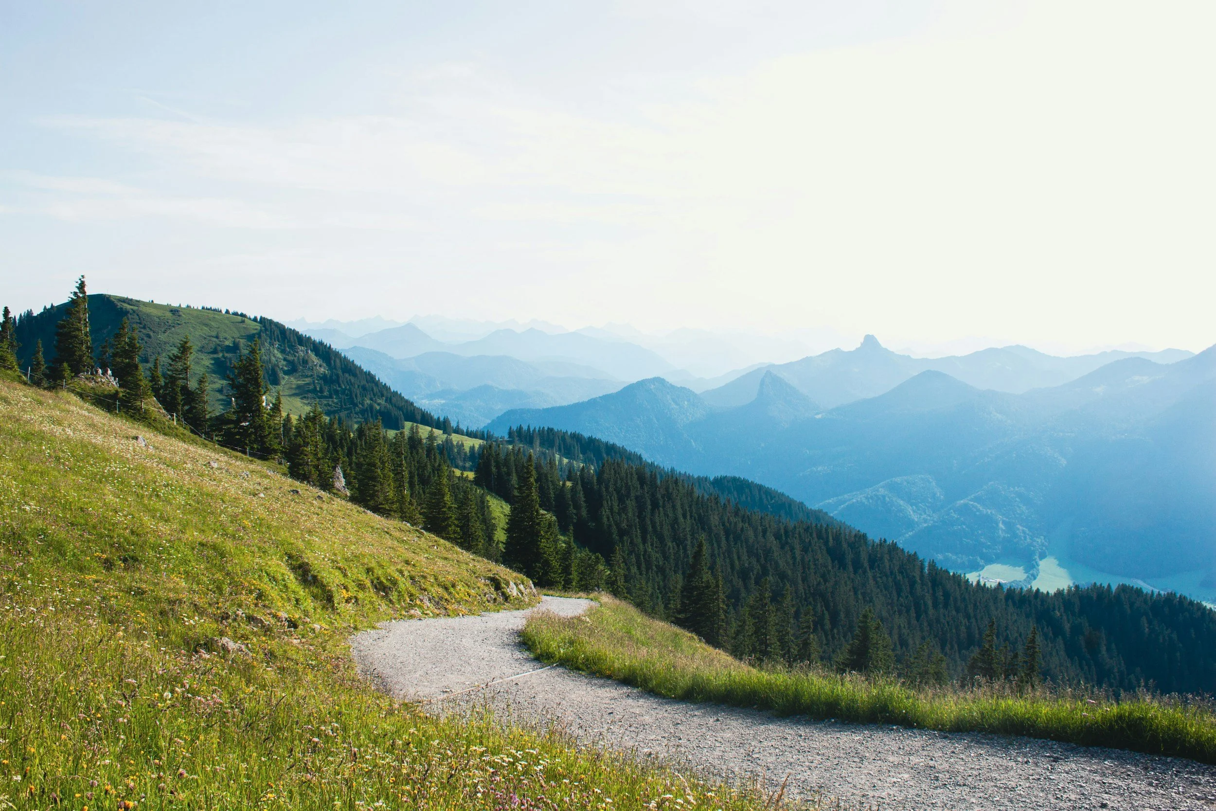 Family-Friendly Hiking Trails in Eugene: Adventures Everyone Will Enjoy