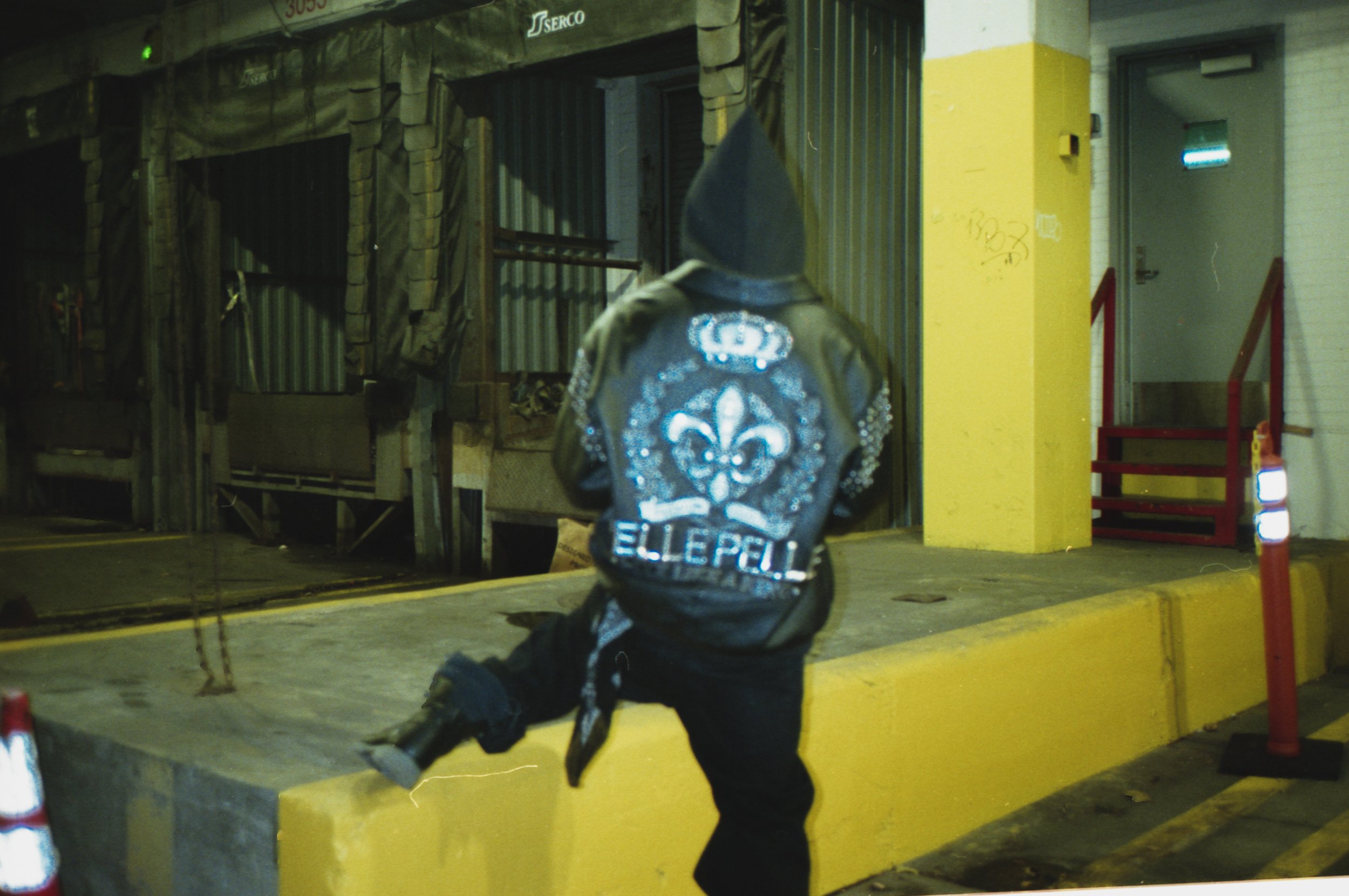 electrolit0050.jpg