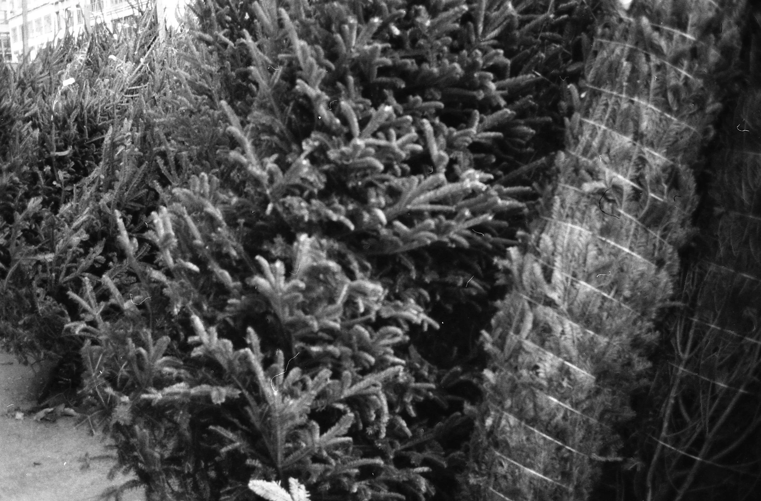 12-28-24--0149.jpg