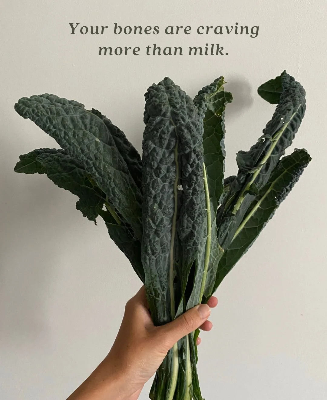 🌿 Kale and your bones.

Kale is one of nature&rsquo;s quiet bone builders. It is rich in calcium, magnesium and vitamin K, three nutrients that work together synergistically to strengthen and protect bone tissue.

🦴 Calcium provides structure.

🦴 