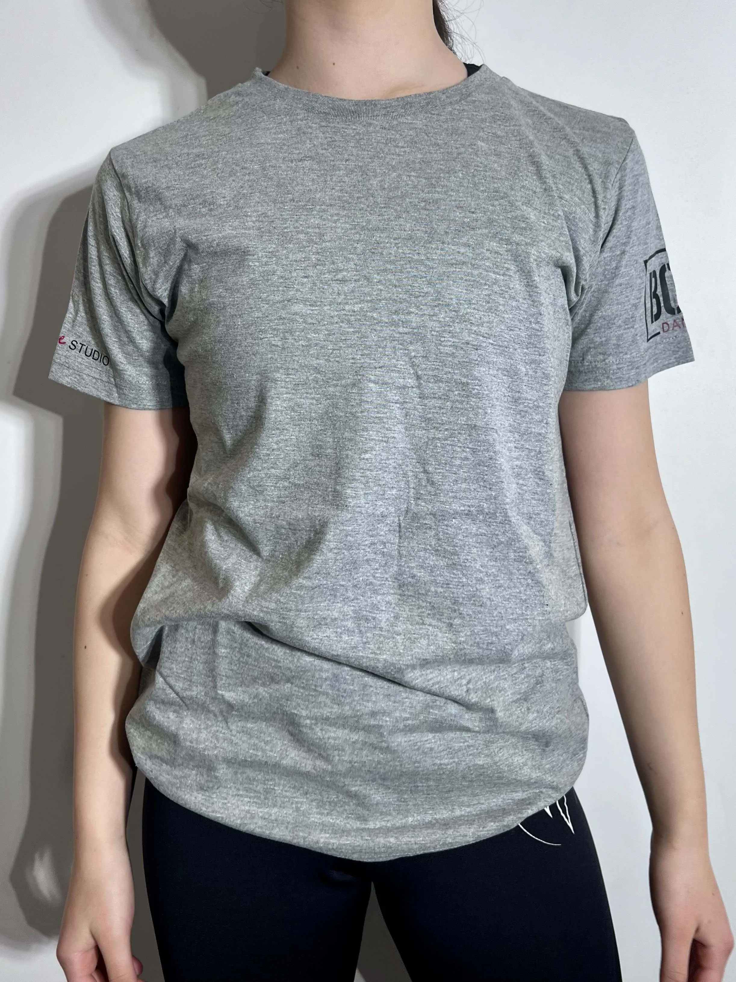 TDS 'established' T-shirt- Grey (front).jpg