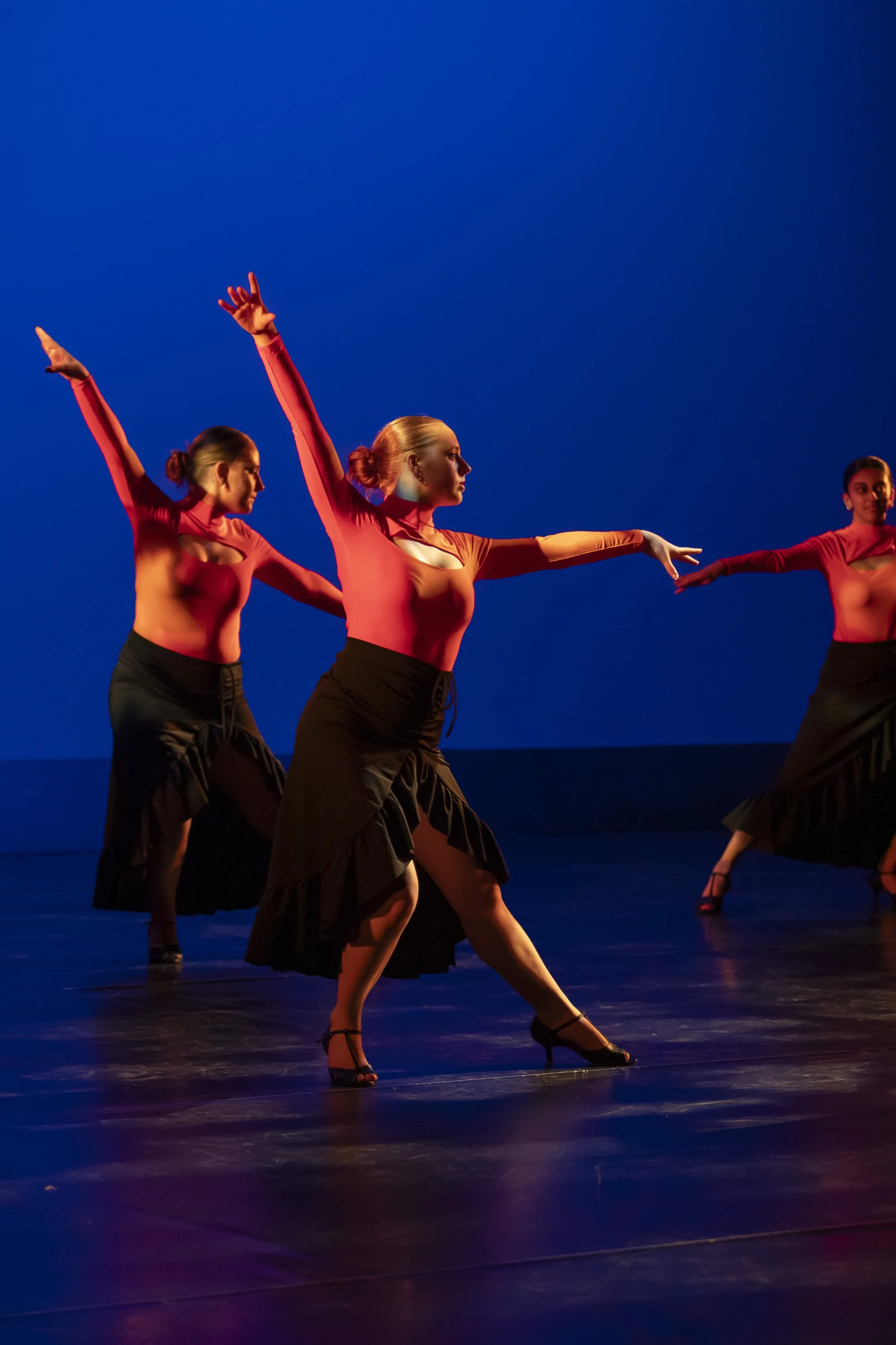 Latin (Jacqui) 2.jpg