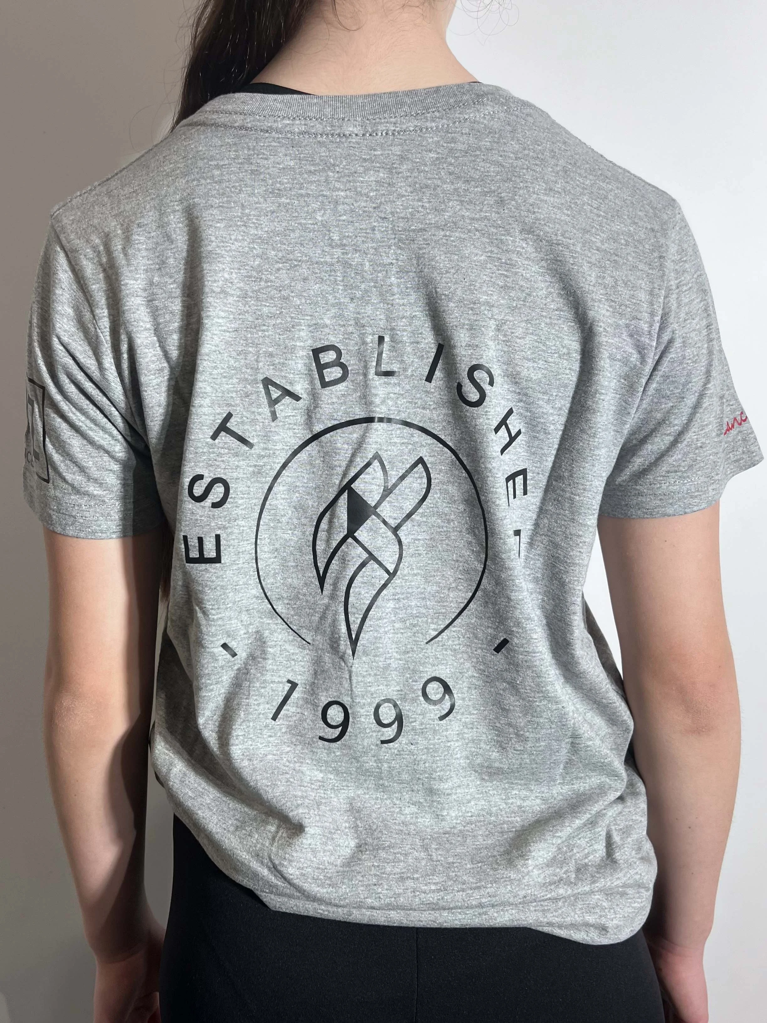 TDS 'established' t-shirt- grey (back).jpg