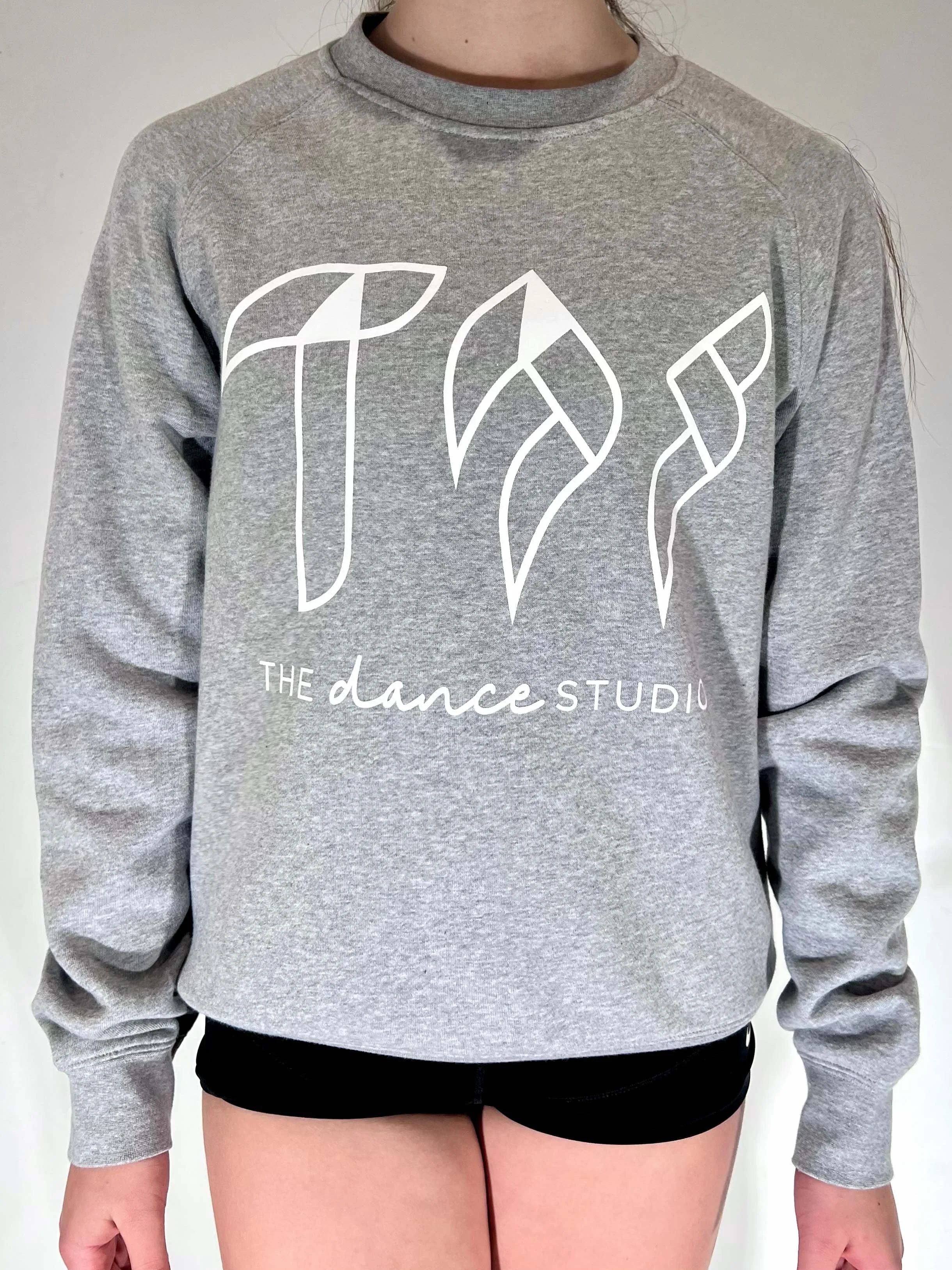 TDS crewneck sweater- grey (front).jpg