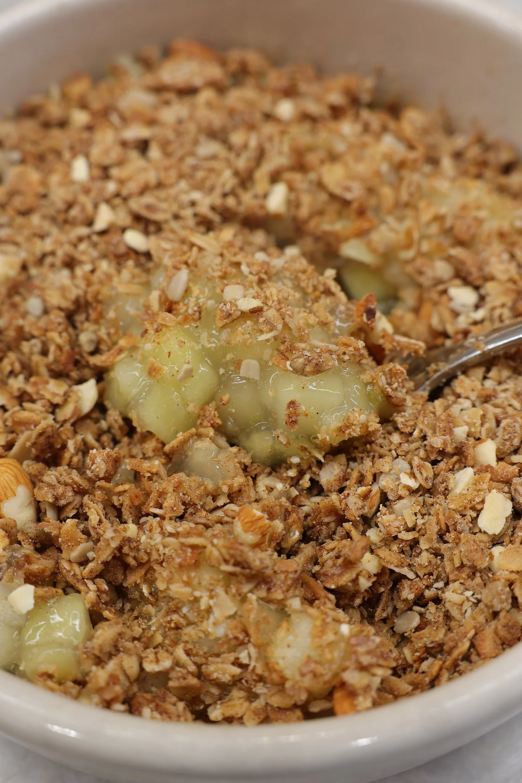 Top view of a white bowl filled with dried mulberries.