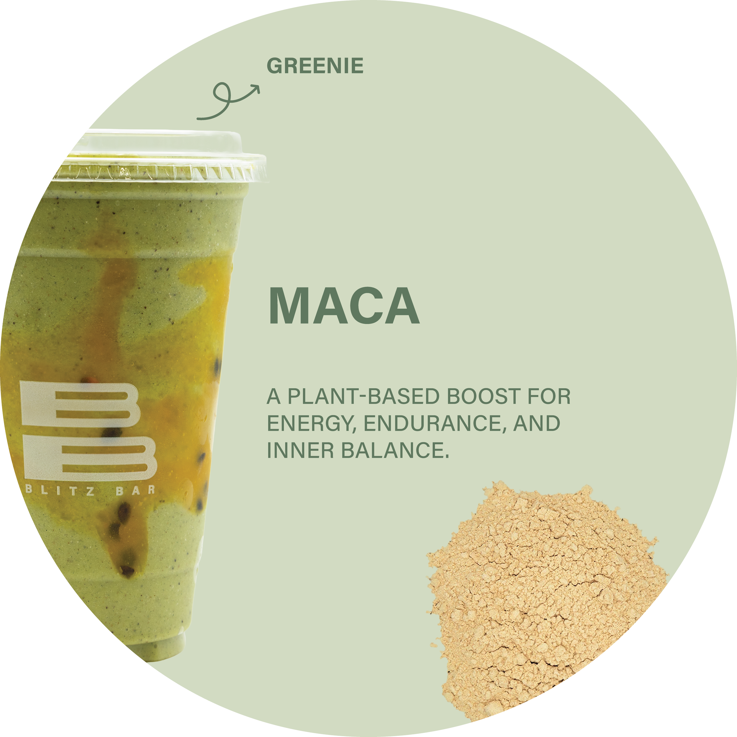 Maca