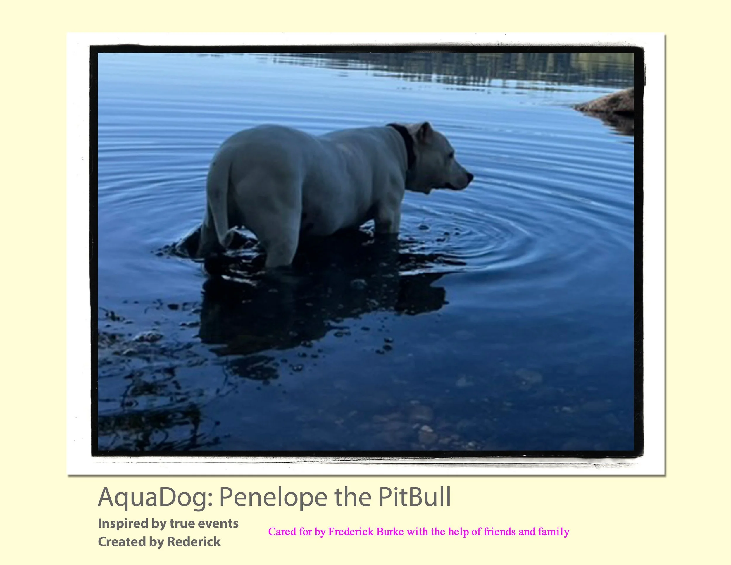 Aquadog draft 1_0.jpg