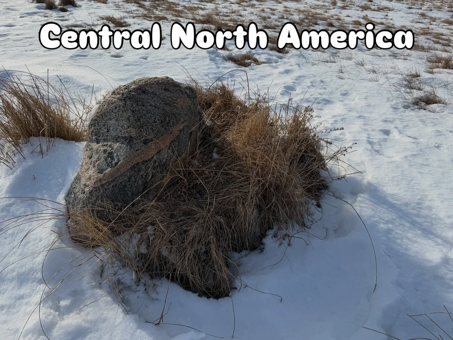 Same month different longitudes. One of the only similarities, Lichen is found in both habitats. Both with dormant deciduous trees, one has 100s shades of green, the other has 100s shades of white and brown. Both will have wildflowers sprouting, thri