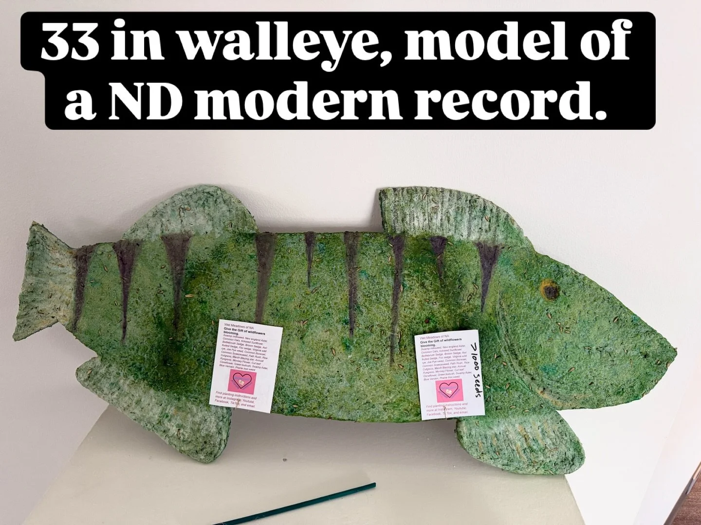 New Pride of Dakota model of a Walleye &ldquo;Spawn Wetlands&rdquo;. Mixed media Seed paper with over 2000 seeds for wetlands. Clean water makes for healthy fish. This is the centerpiece of a multi piece project for BAGA this March.  Seeds for any fr