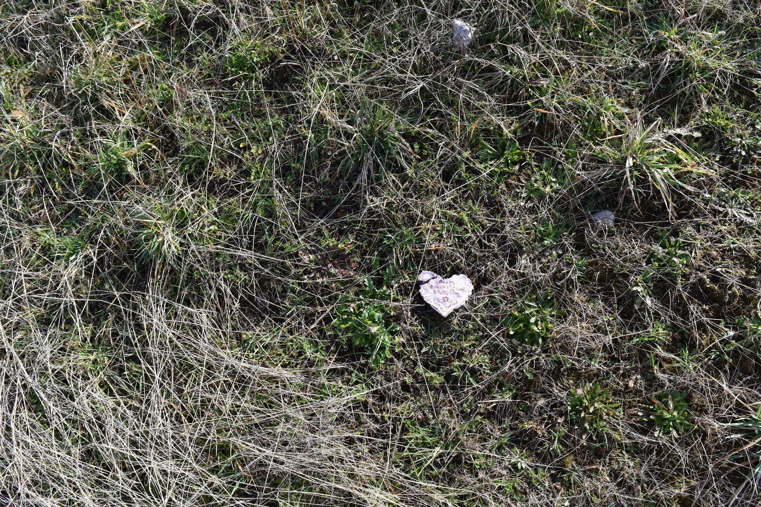 DSC_0573.jpeg