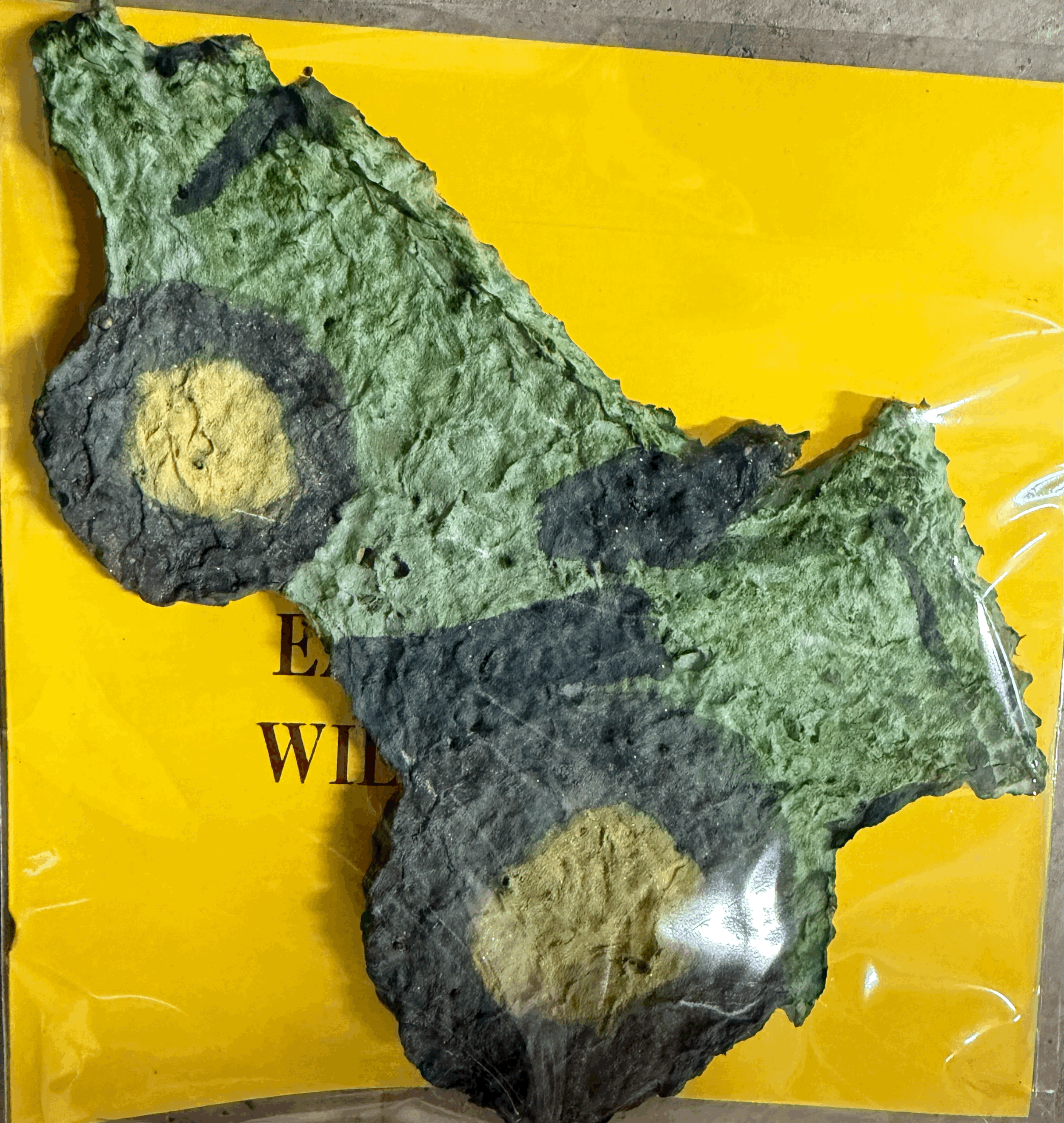 tempImageTl4Y2M.gif
