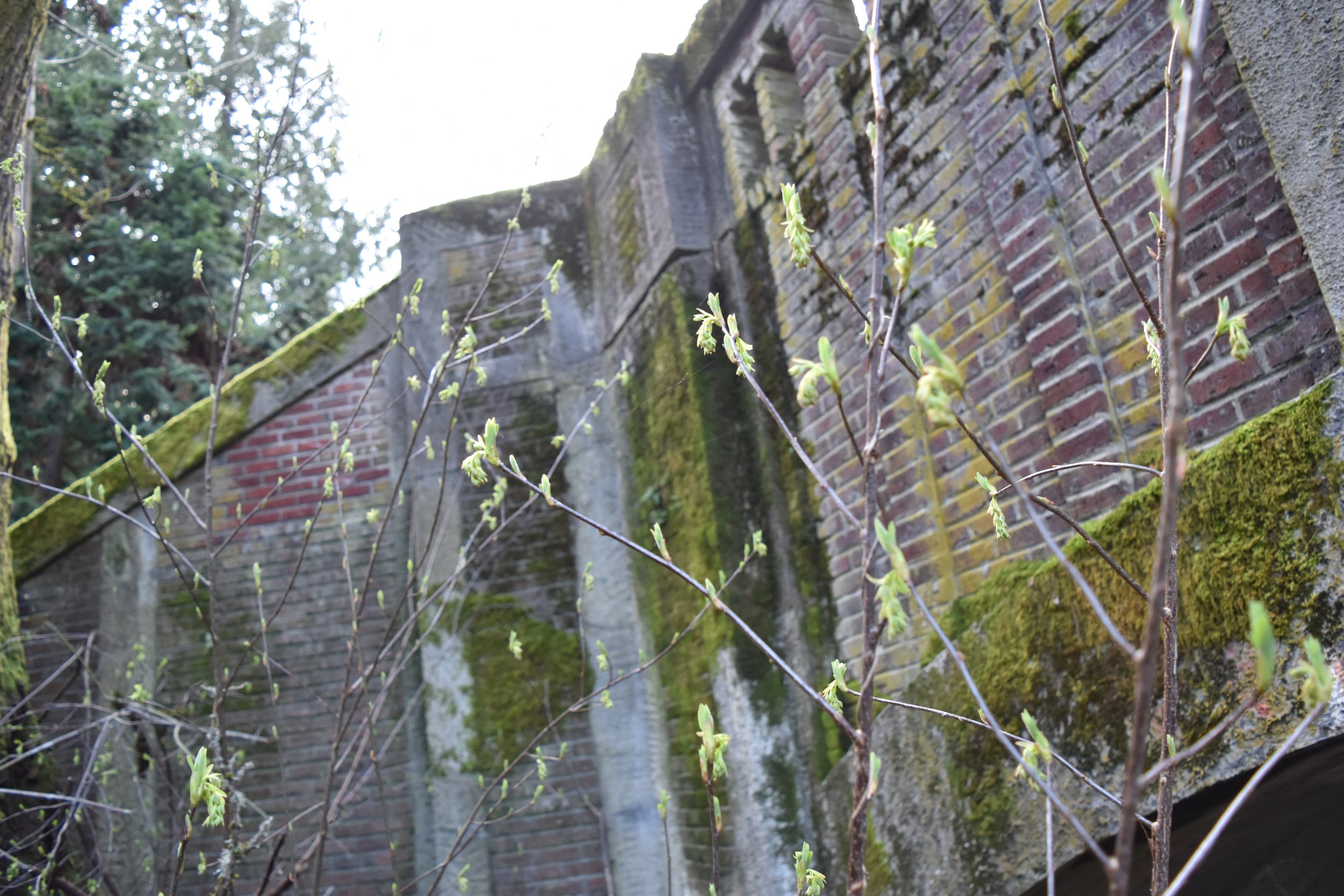 DSC_0863.jpeg